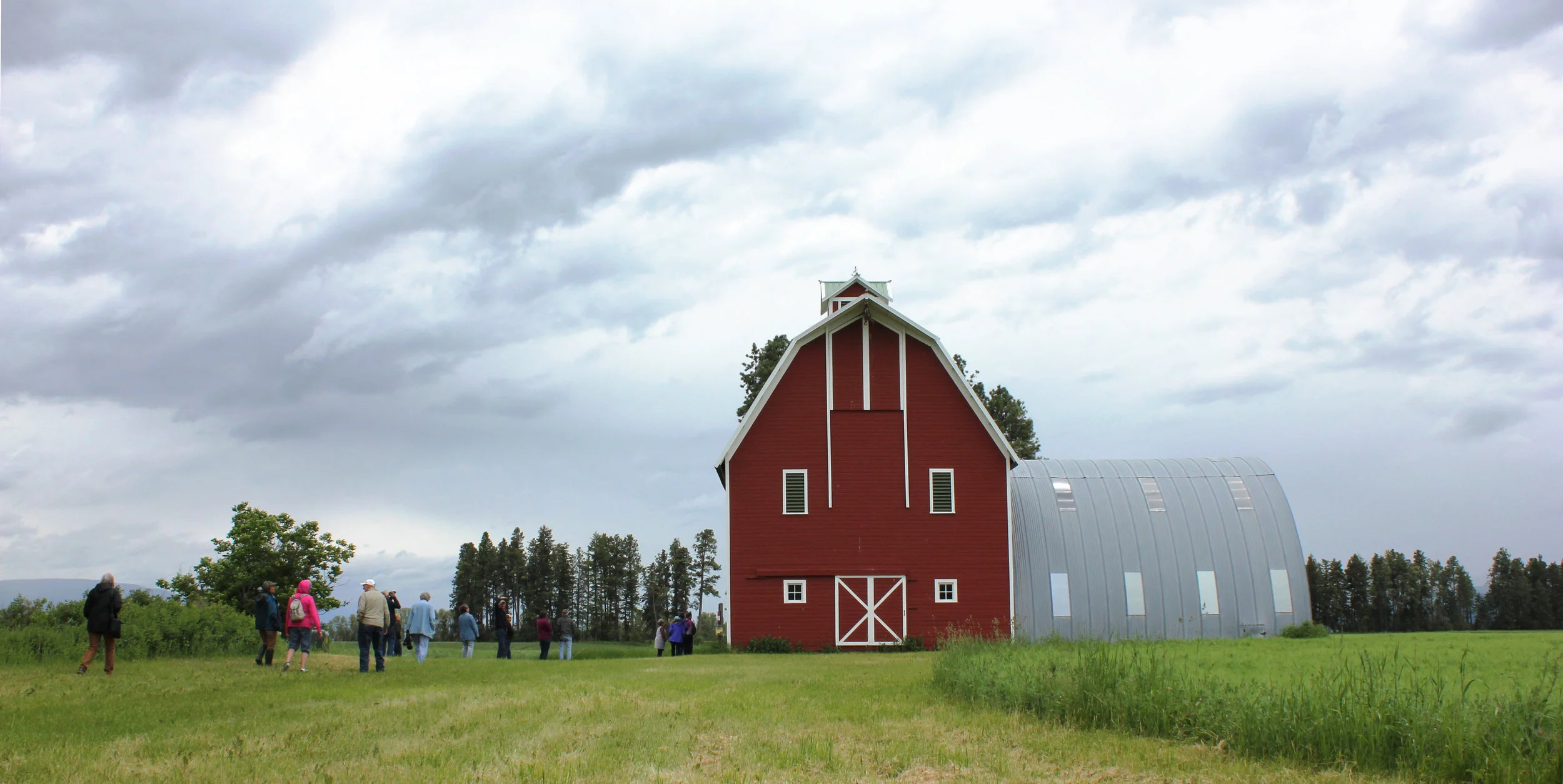 The McClarty Barn and the Porter-Blasdel barn are in a family of several barns in the vicinity that look very much alike. Joseph McClarty built this barn in 1910, around the same time that several very similar barns were constructed from Kalispell to Creston and Big Fork. It is not known who designed or built the barns, or if it was a common barn plan that the local lumber company offered. Some of the barns have heavy timbering in the rafter, and other have more modern stick framing.