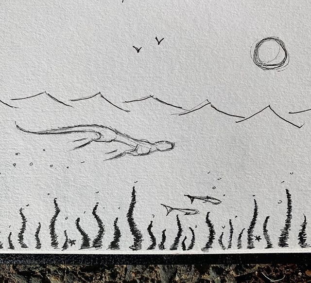 &ldquo;.. while the waves crashed above, below the otter swam in the peace and calm of kelp forest ..&rdquo; Sketchbook daily drawing.. #sketchbook #calm #peace #kelpforest #seaswim #otter #seaadventures #swimming #sealife #swimlife #illustration #il