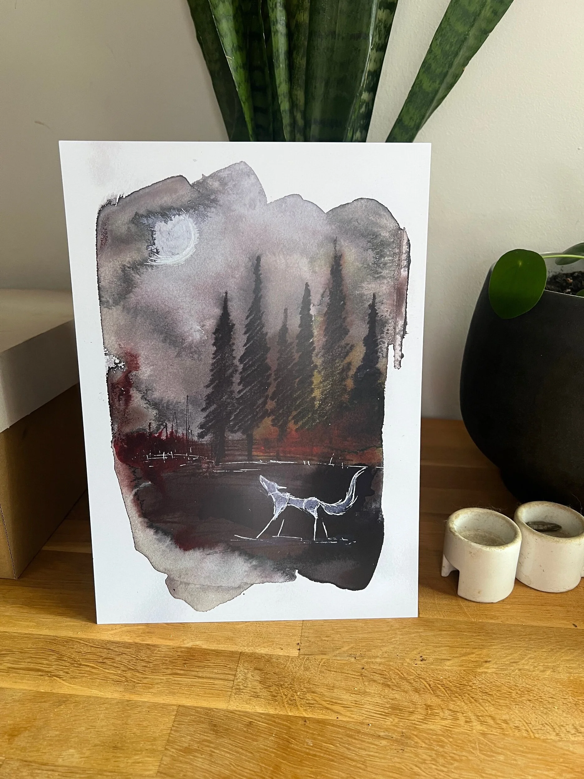 74DCCBA2-9A67-471D-81F8-13F6F46F3968