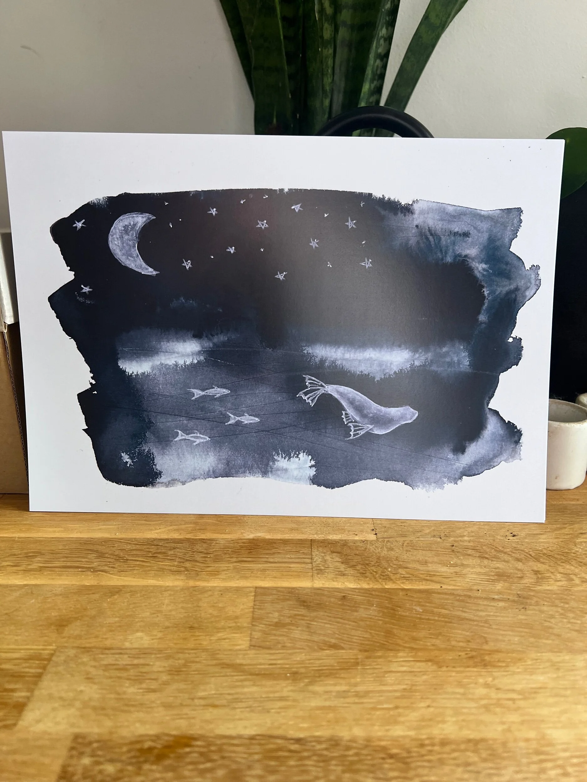 A1B5B29C-5545-4C78-9FF7-202BEB58067D