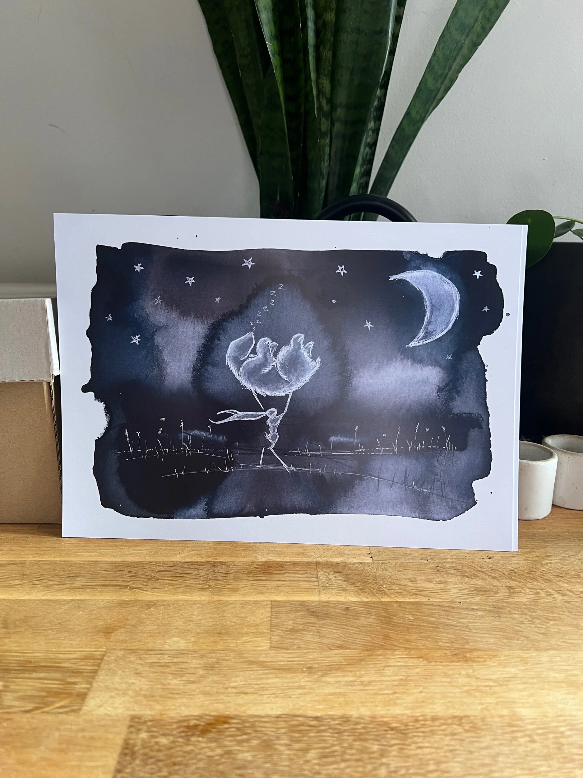 E27EC3C9-D95D-49F6-A393-A7B99864F870