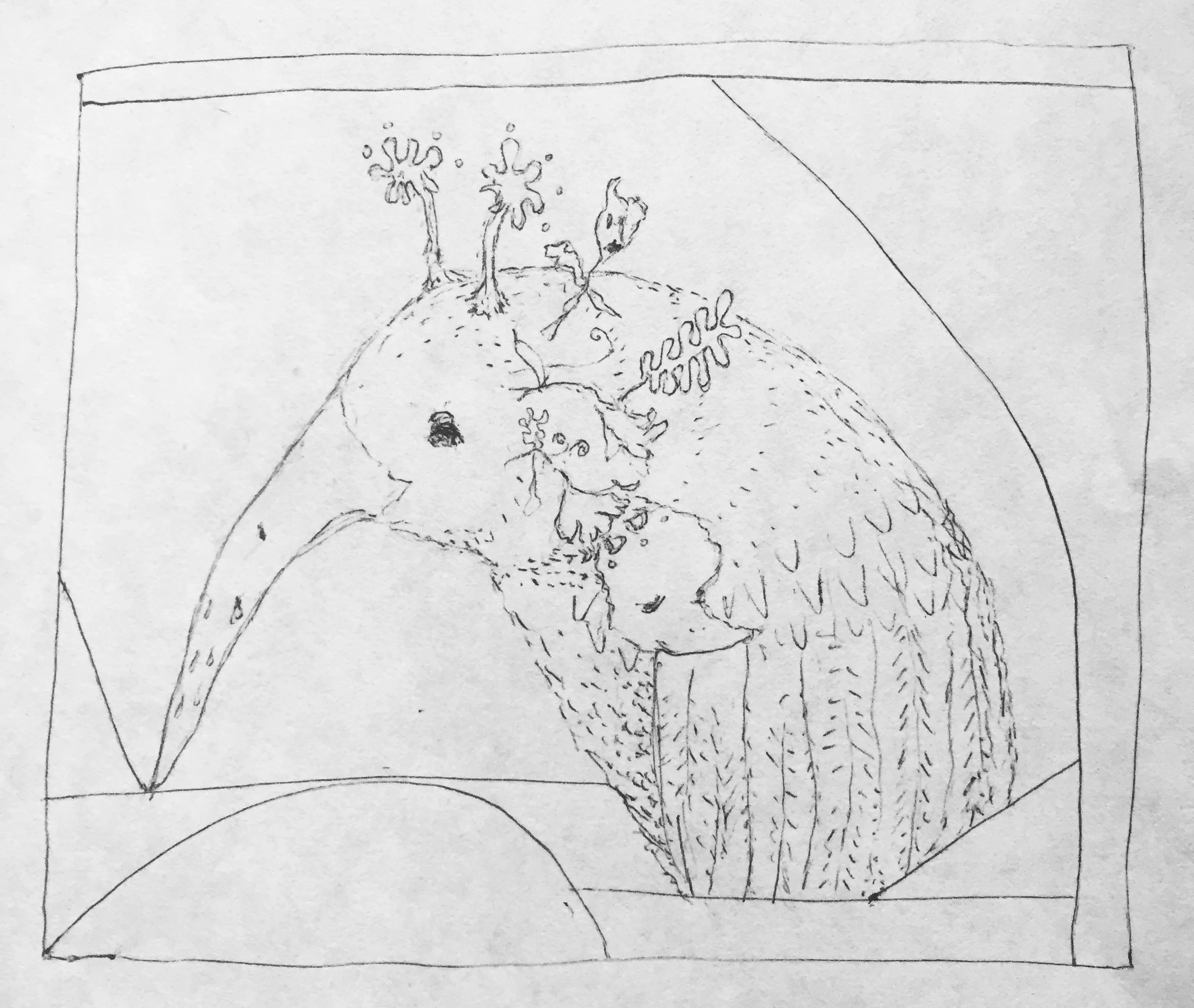 Farquhar Sapplefleet, Ink on Paper, 2018