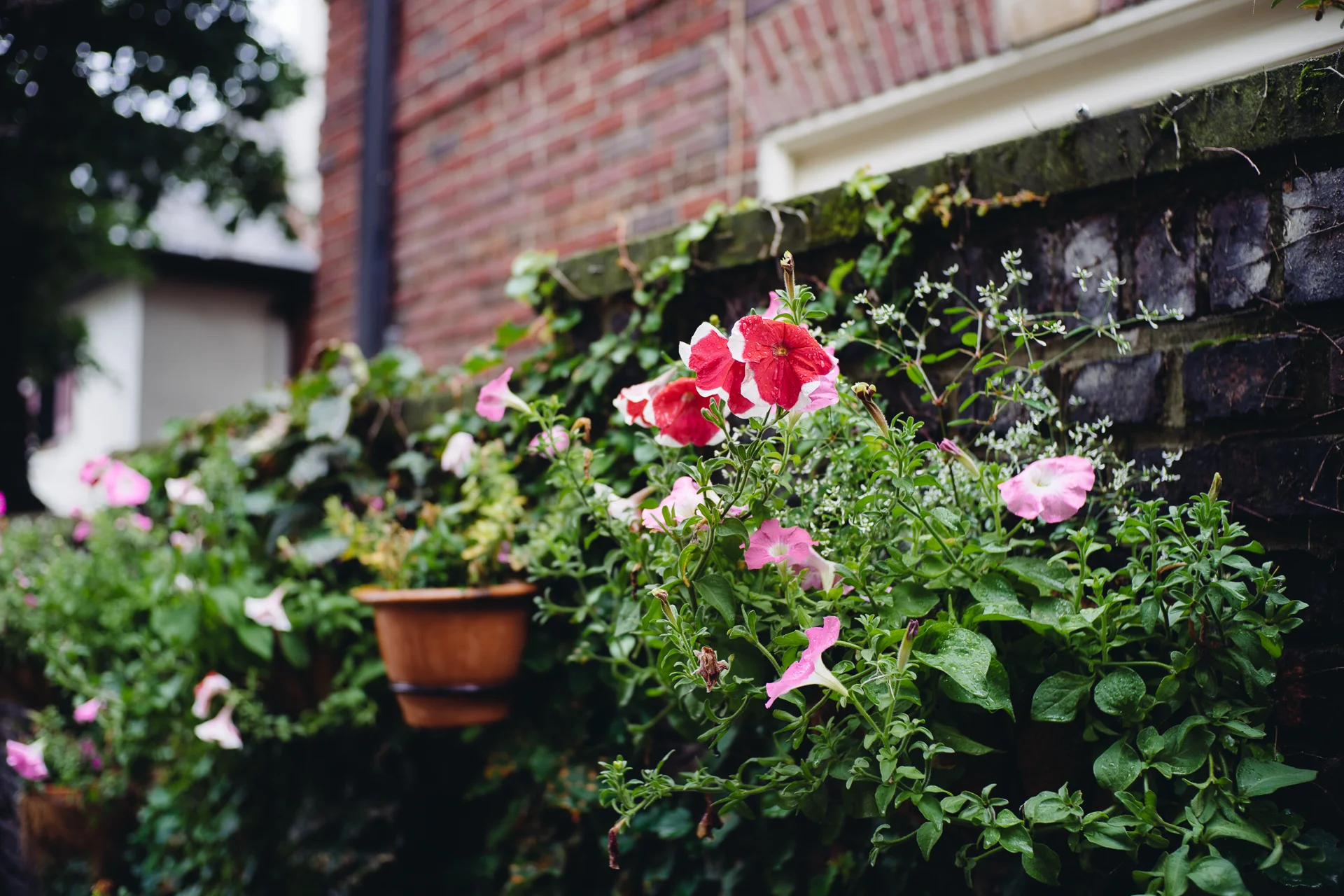 20140719-04.jpg