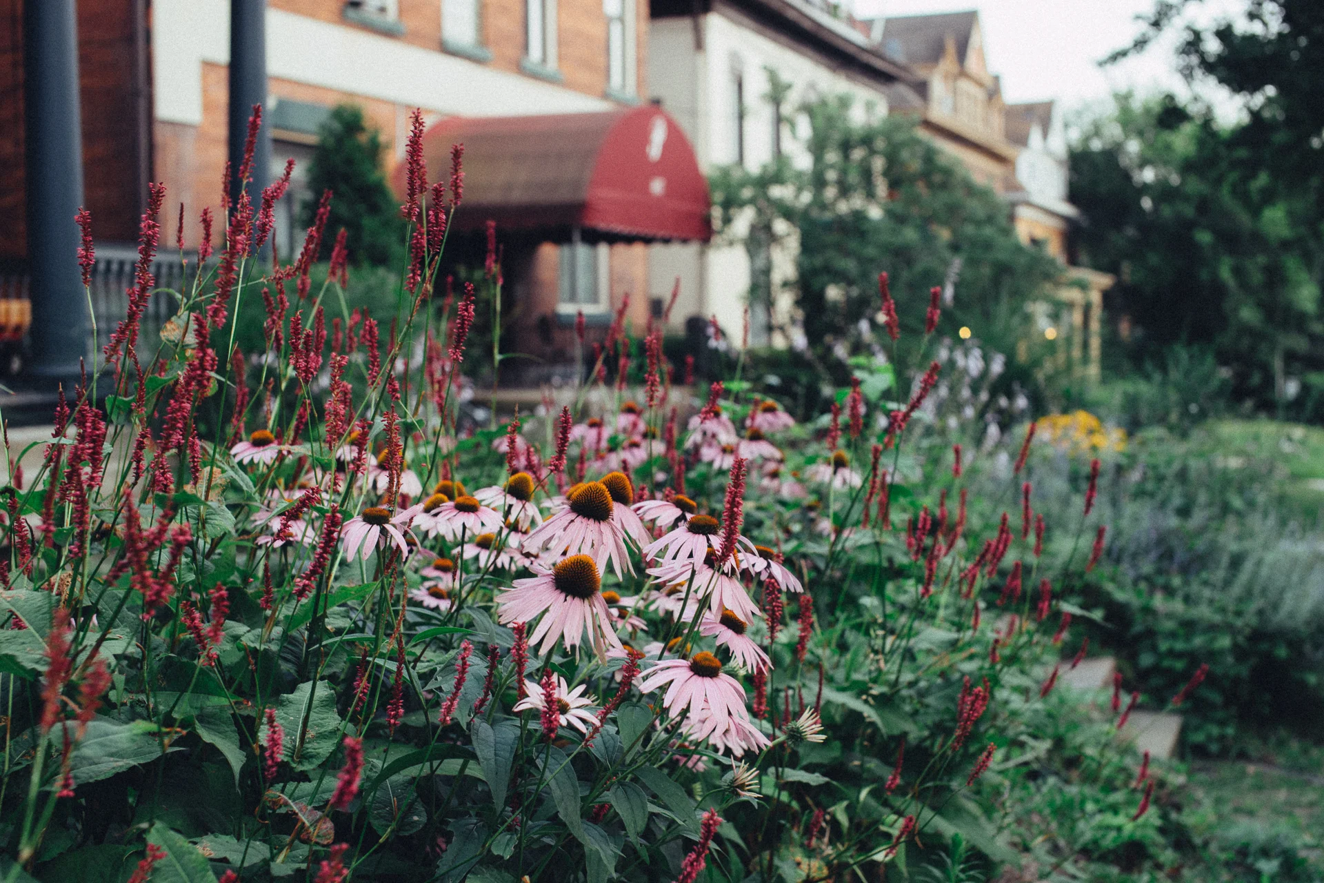 20140721-07.jpg