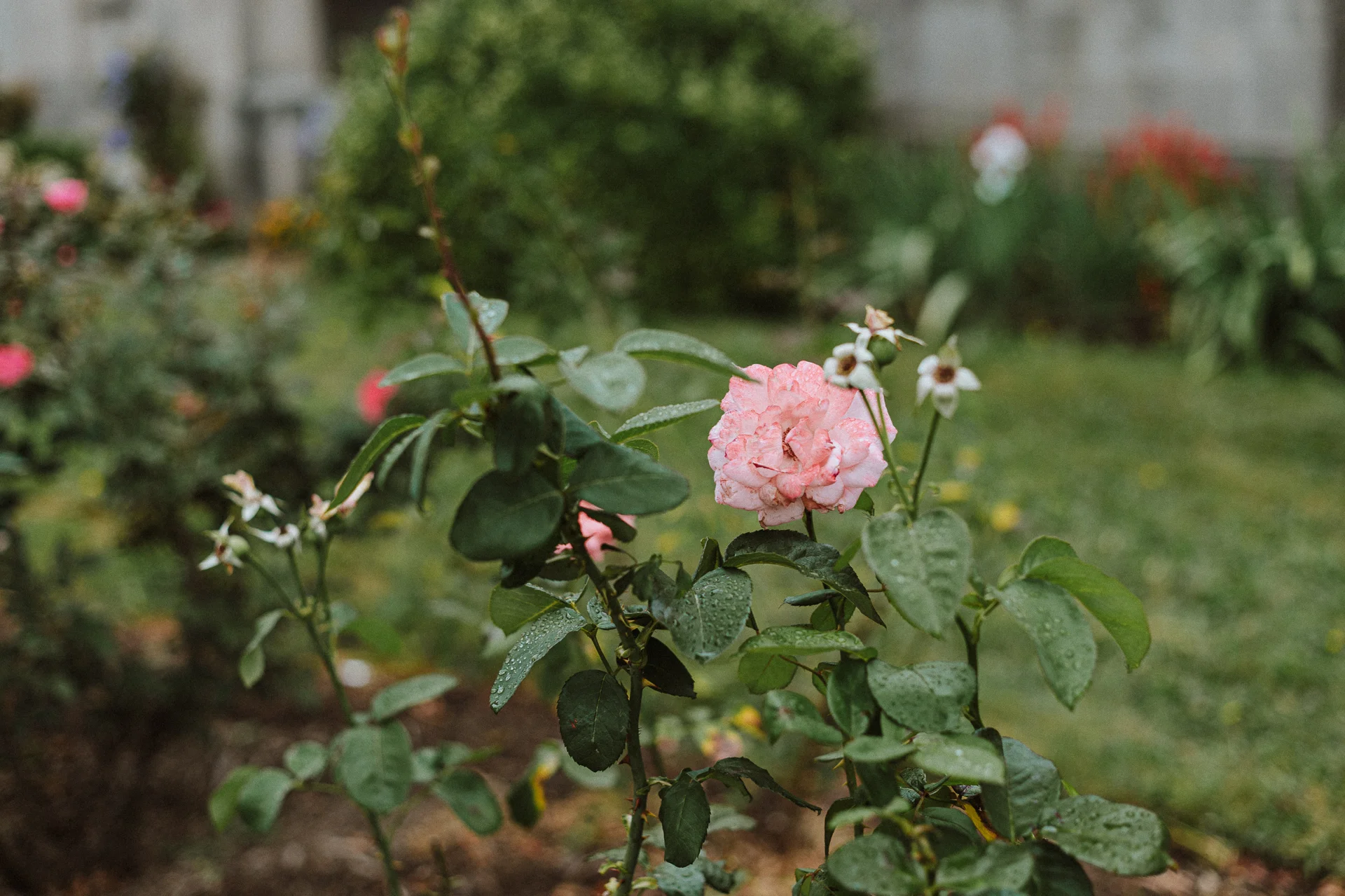 20190813-05.jpg