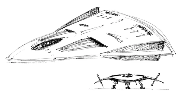 delta wing plane-websm.jpg