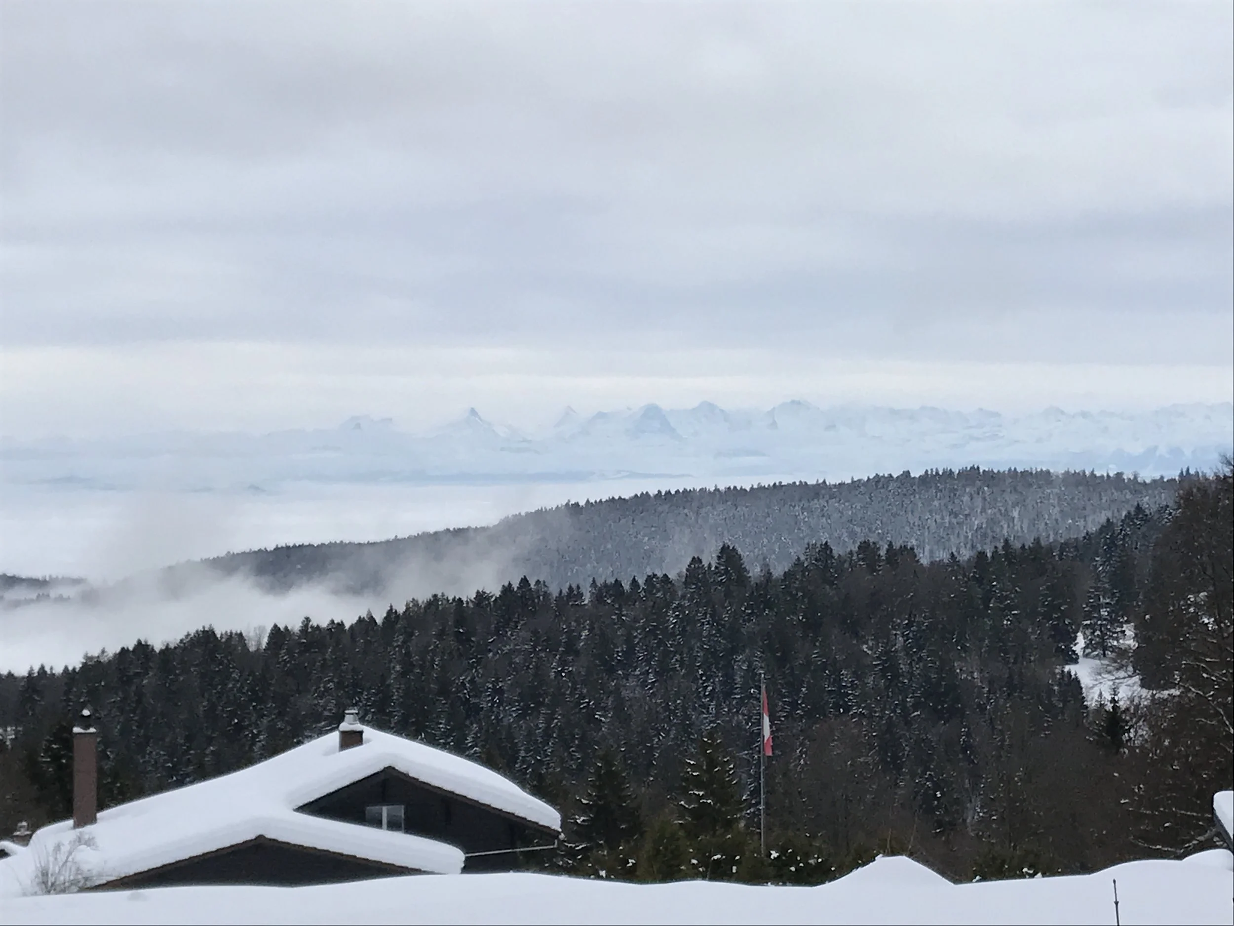 You can see the Alps in the distance. It never gets old.