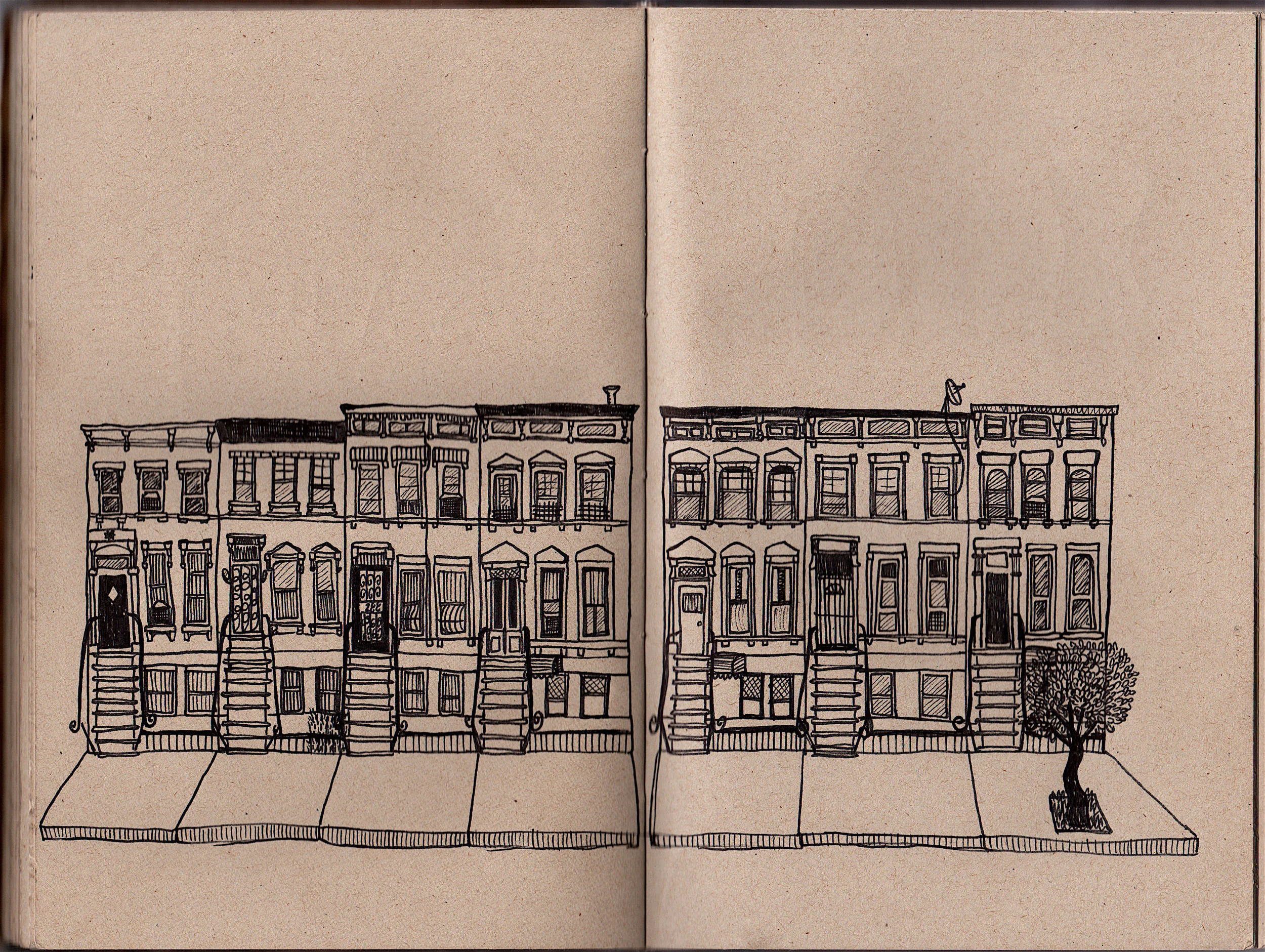 Image1 (1).jpg