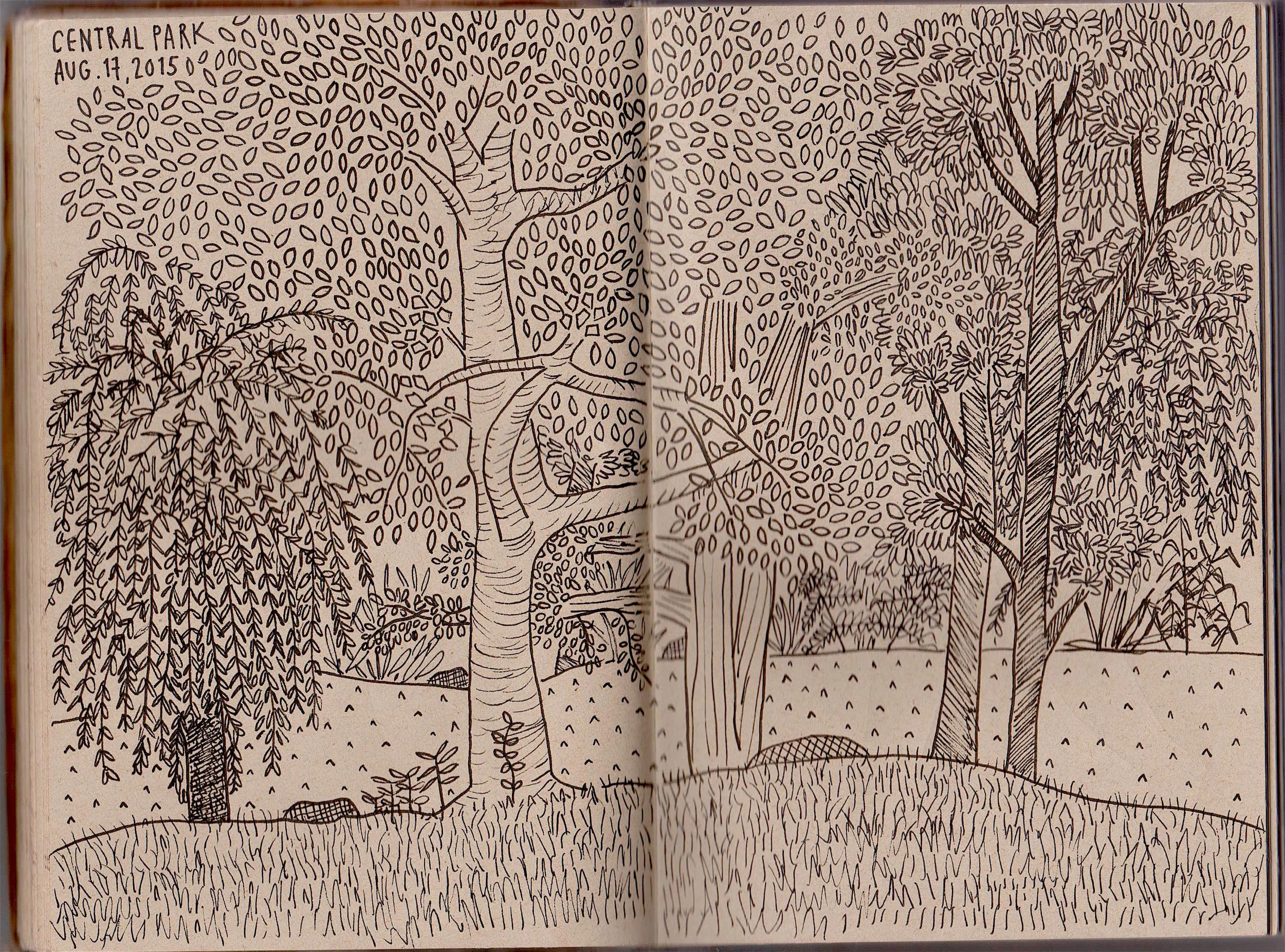 Image (9) (1).jpg