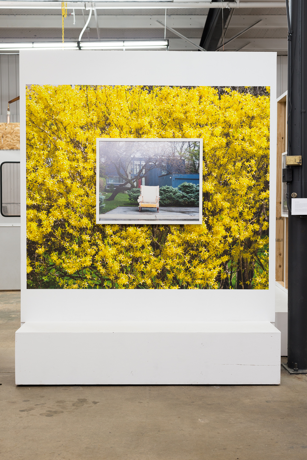  Yellow Chair, 24x30 framed Archival Pigment Print. &nbsp;Layered over 4ft x 5ft wallpaper detail of Forsythia #2. 