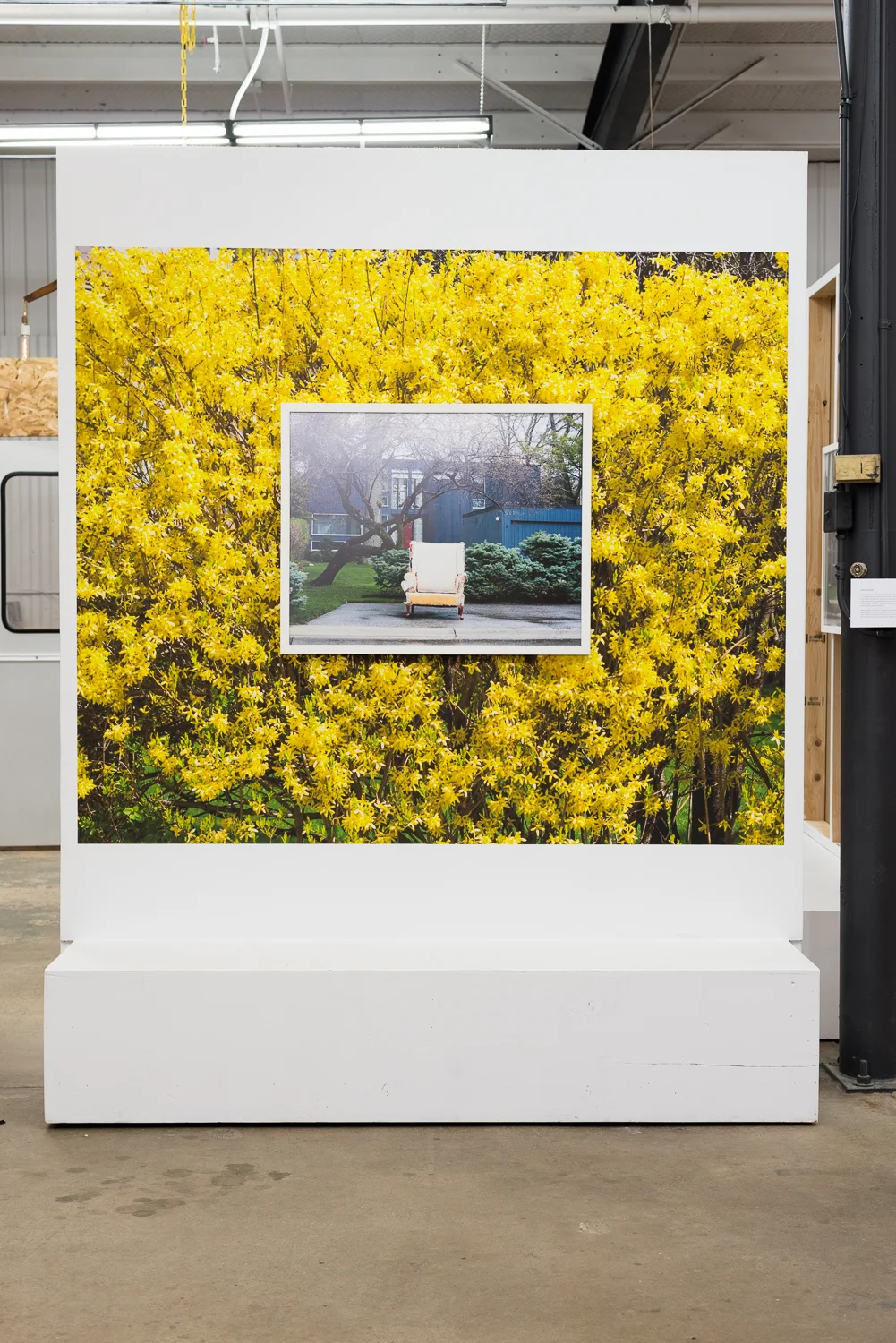 Yellow Chair, 24x30 framed Archival Pigment Print. Layered over 4ft x 5ft wallpaper detail of Forsythia #2.