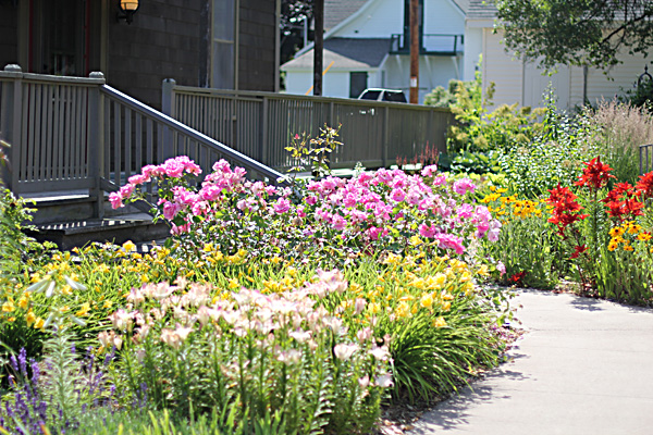 The gardens around Bayfield were amazing. It's obvious they take pride in their little community.