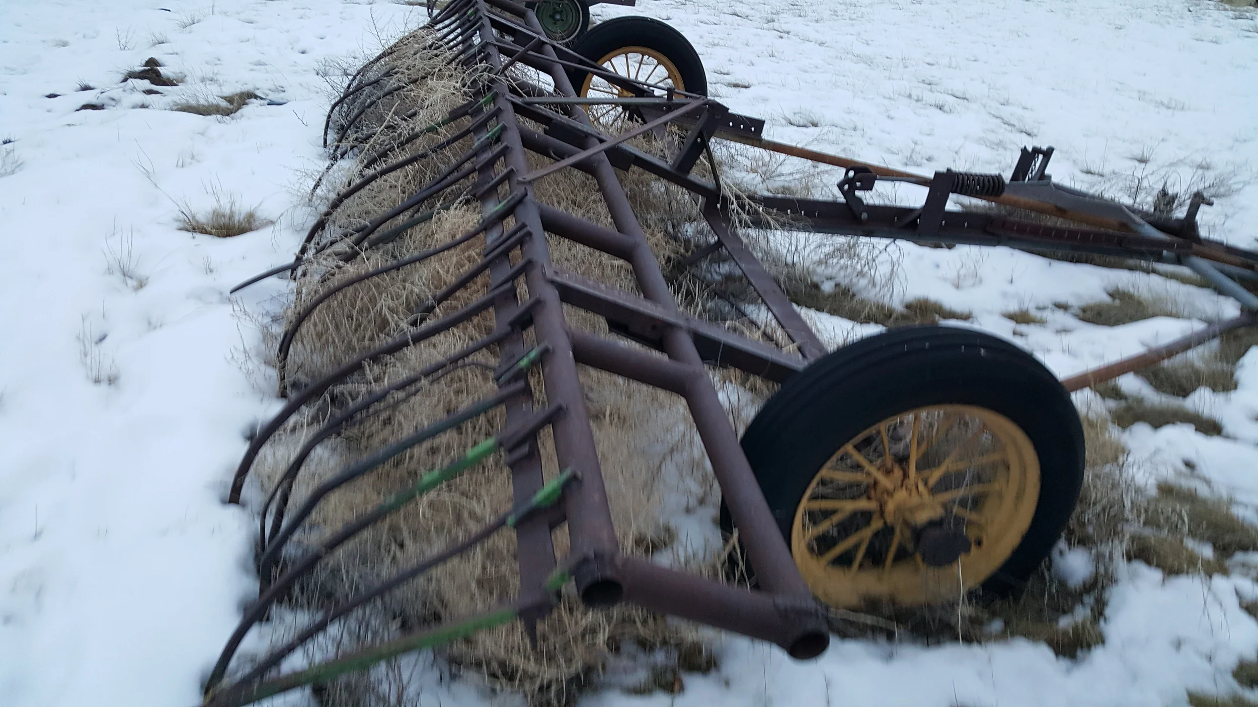 $100 - Weed Rake