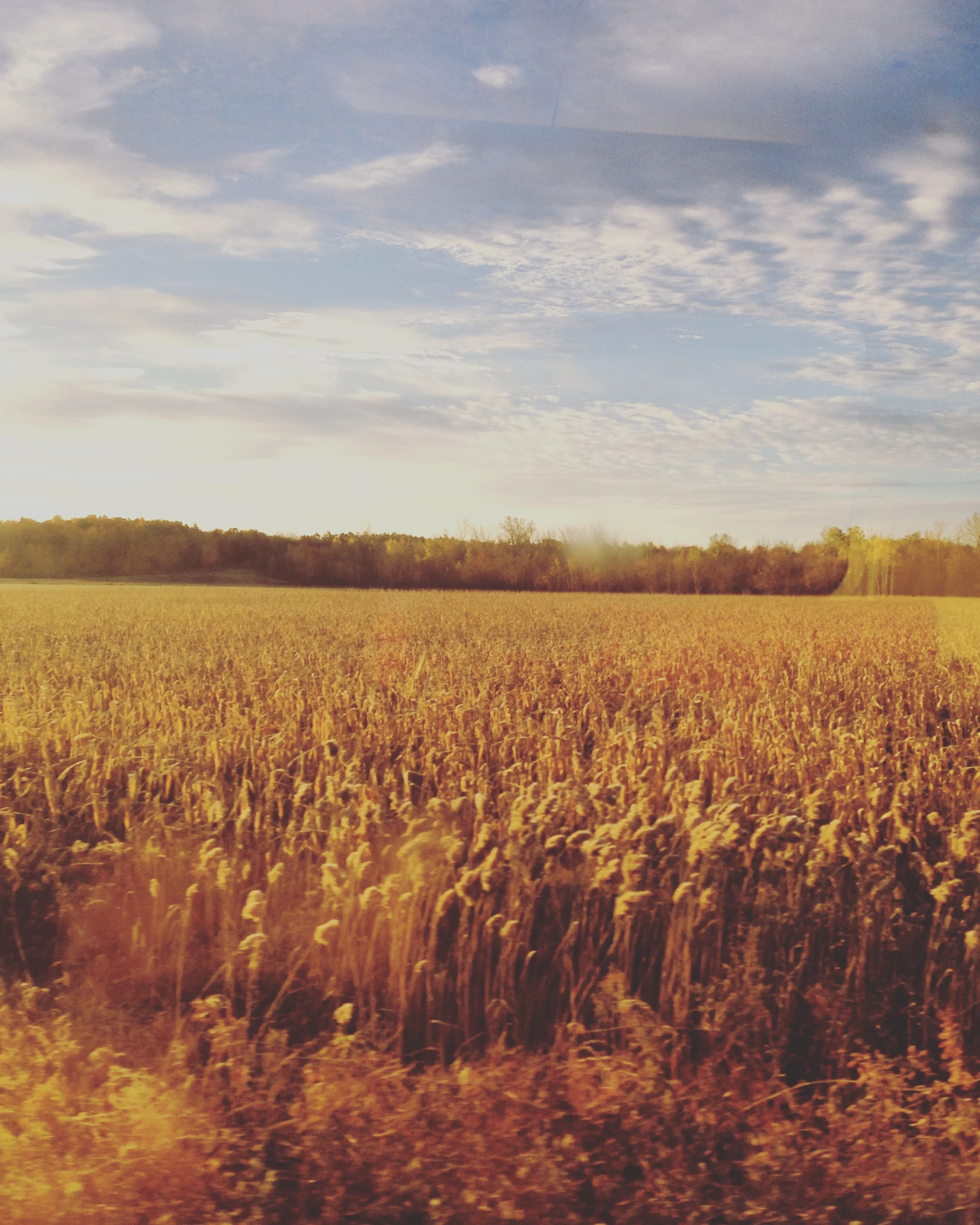 Leaving on a Train - Spring Tour