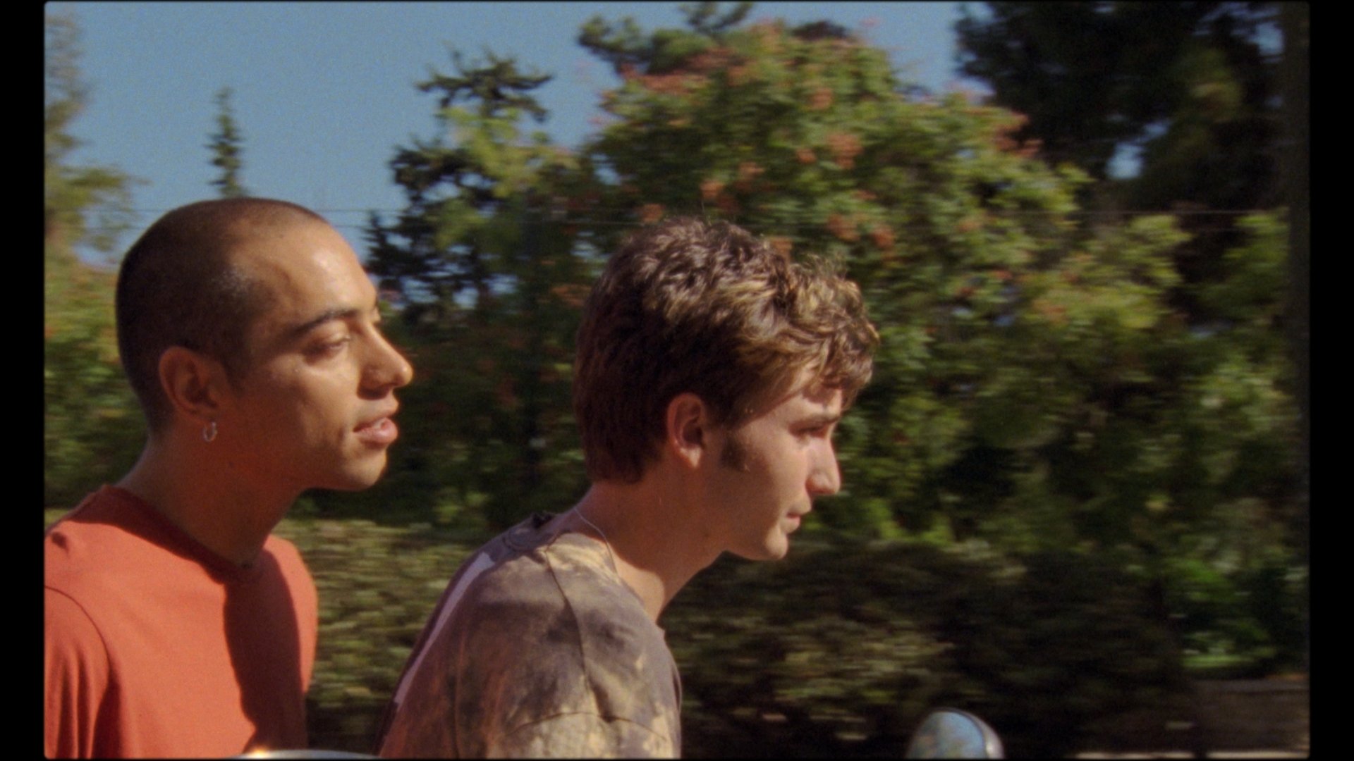 PIGEONS ARE DYING WHEN THE CITY IS ON FIRE Trailer