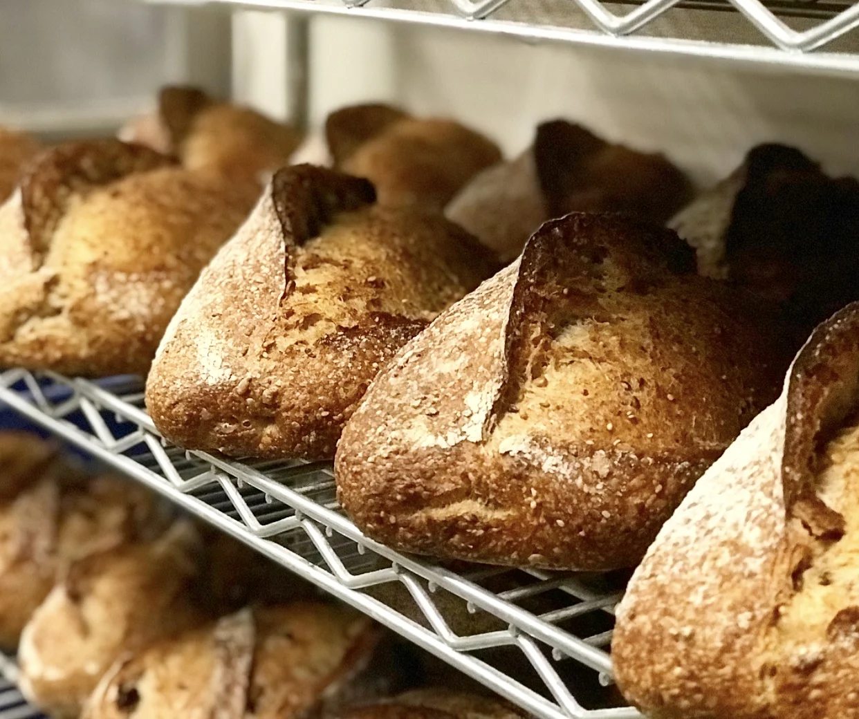 multigrain .jpg