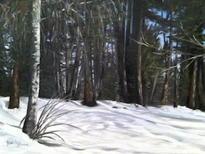 AFD Birch in snow 2013.JPG