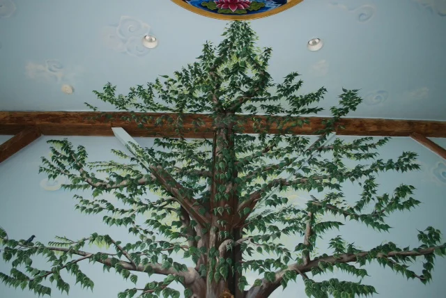AFD Temple 7 tree top.JPG