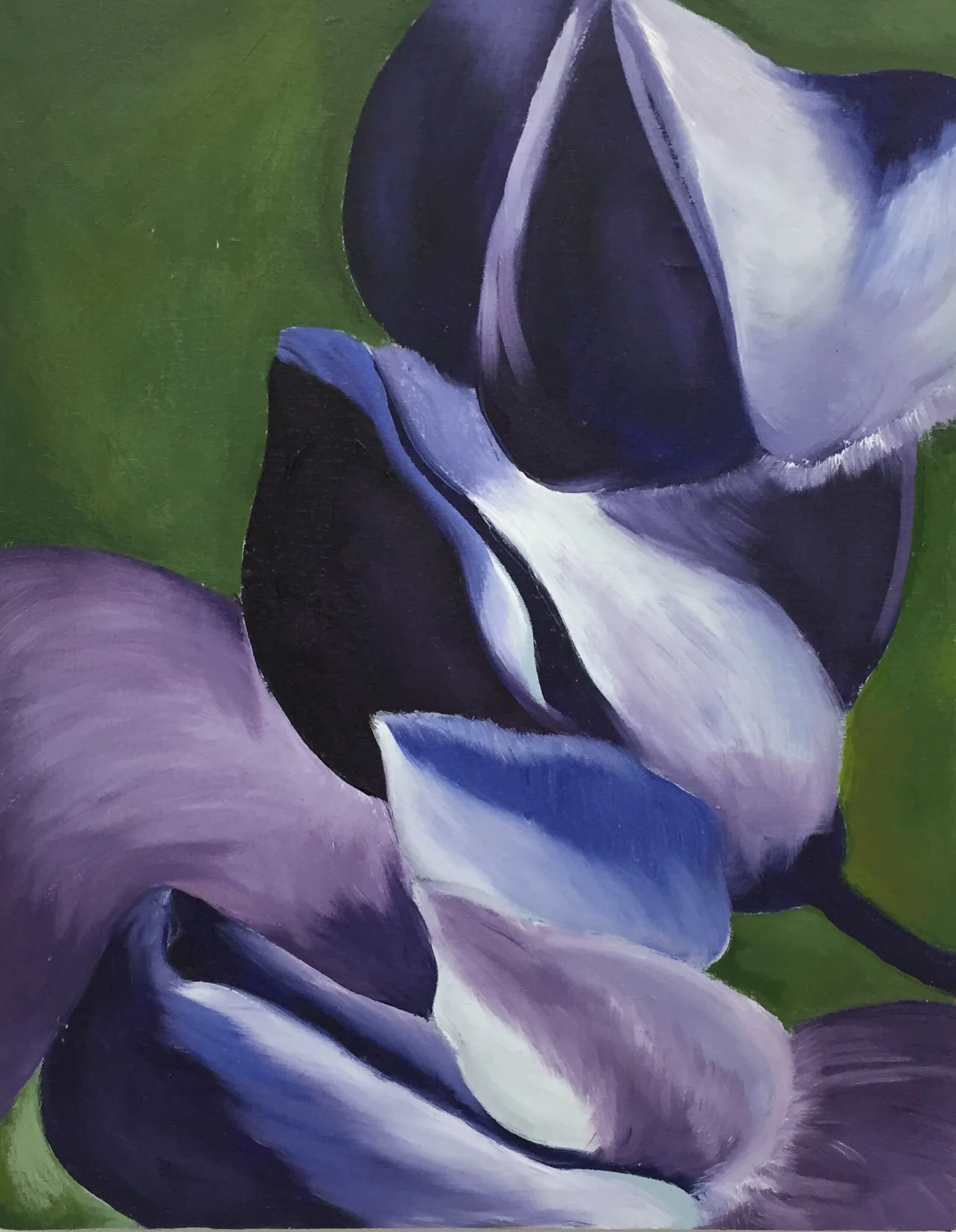 Lupine
