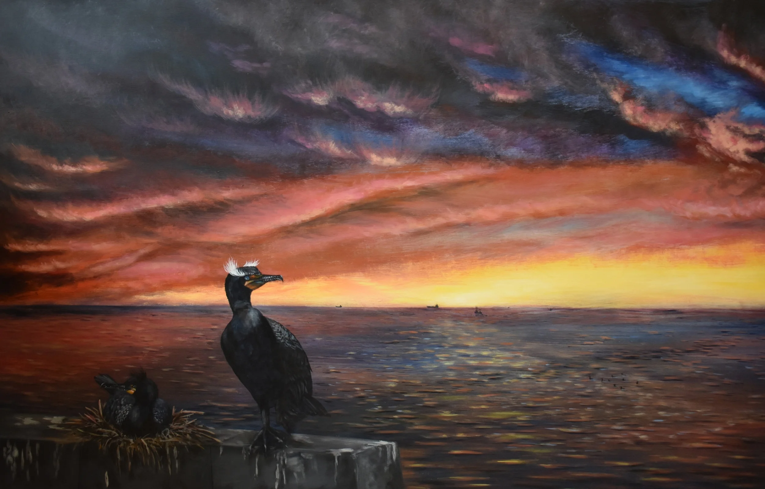 Culling Cormorants