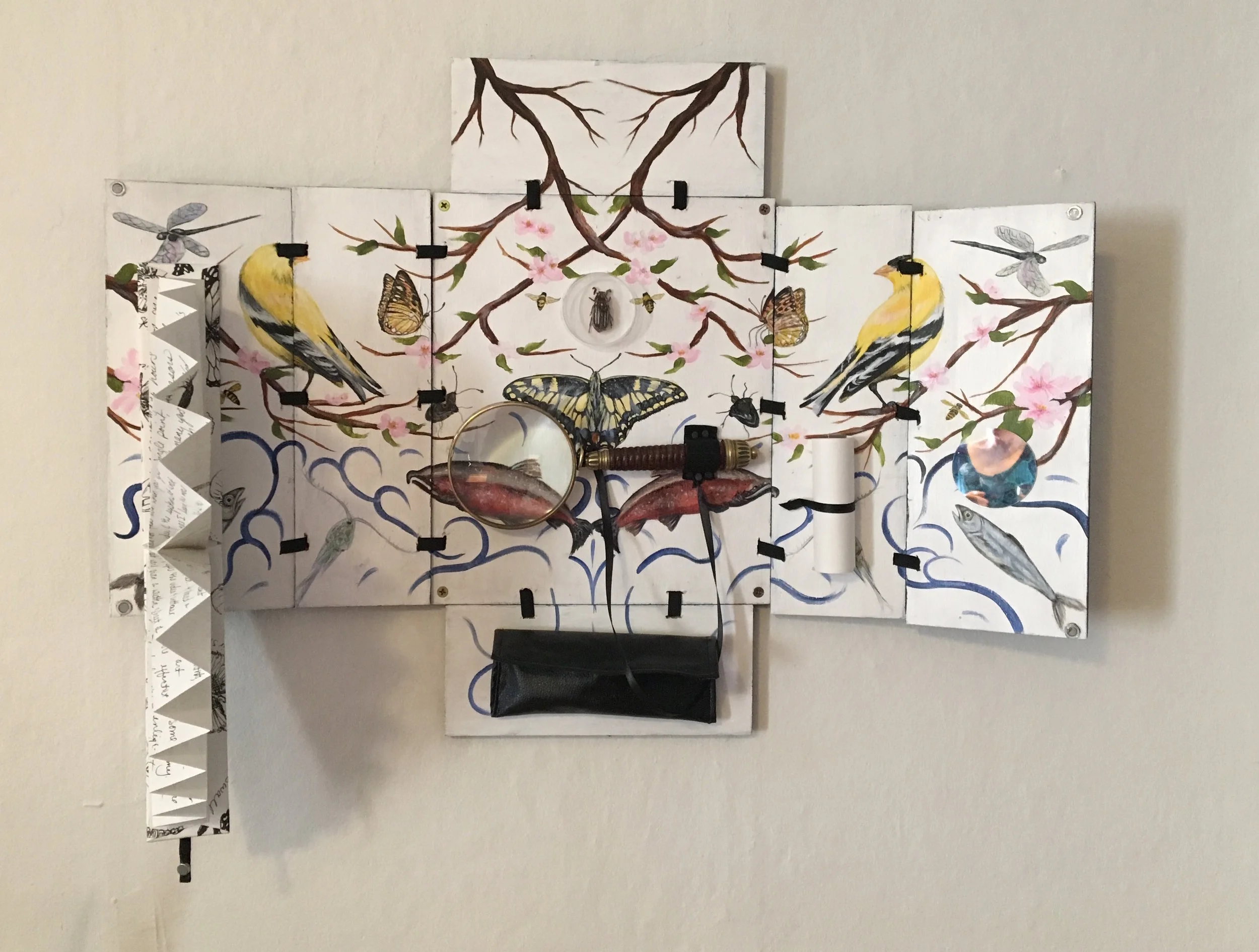 Curious Nature No. 1