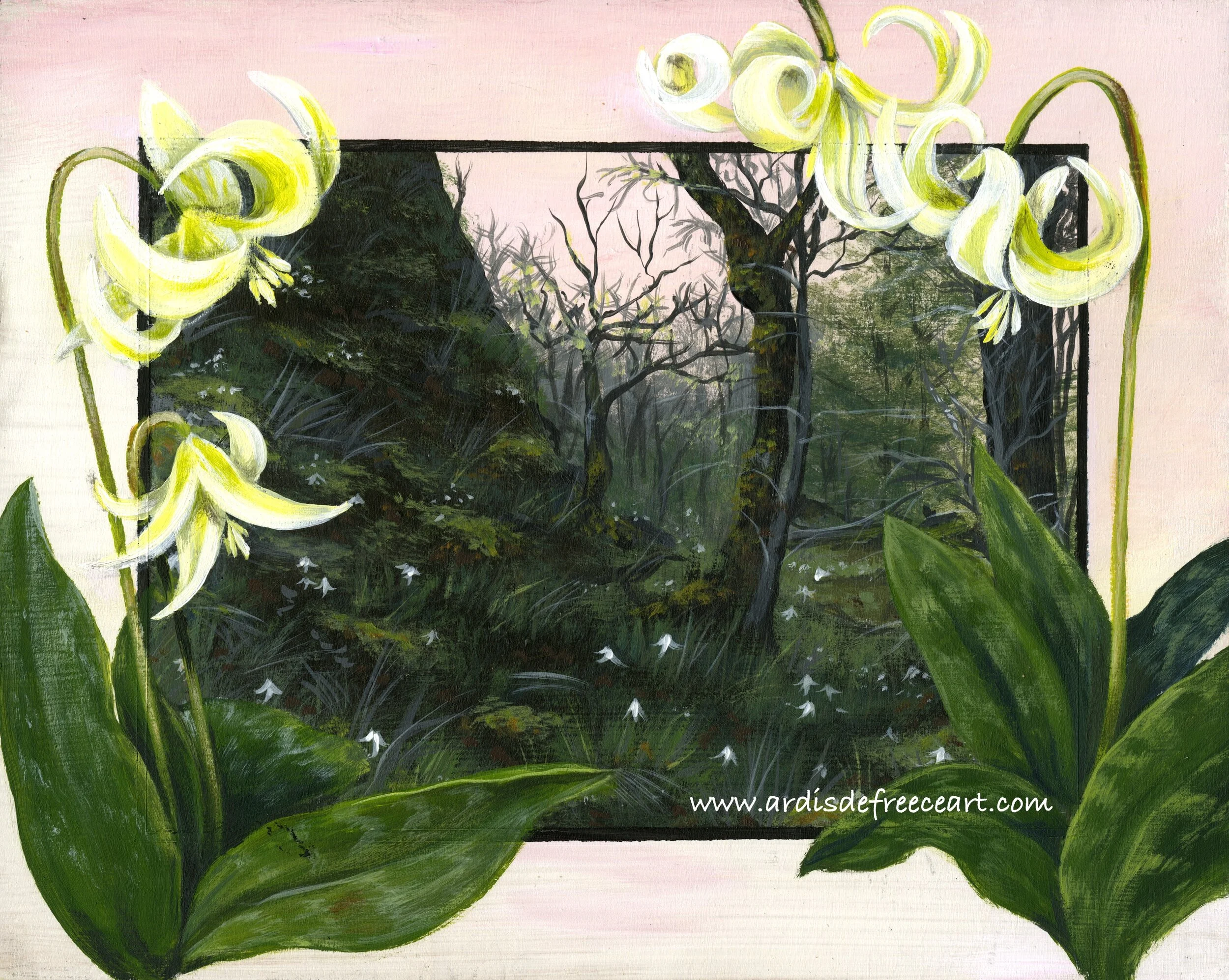 defreece_a_erythronium.jpg