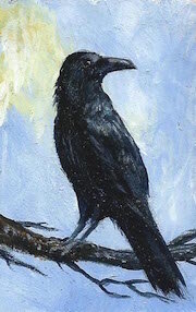 Raven