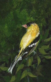 Goldfinch