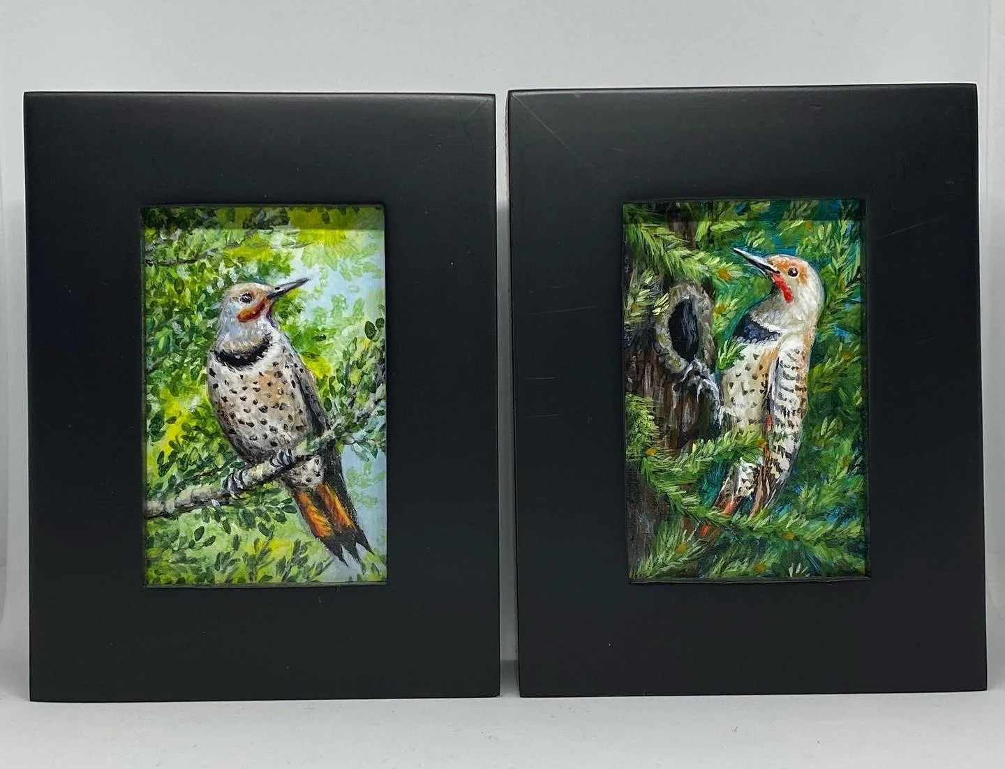 Northern Flicker 1, Northern Flicker 2
