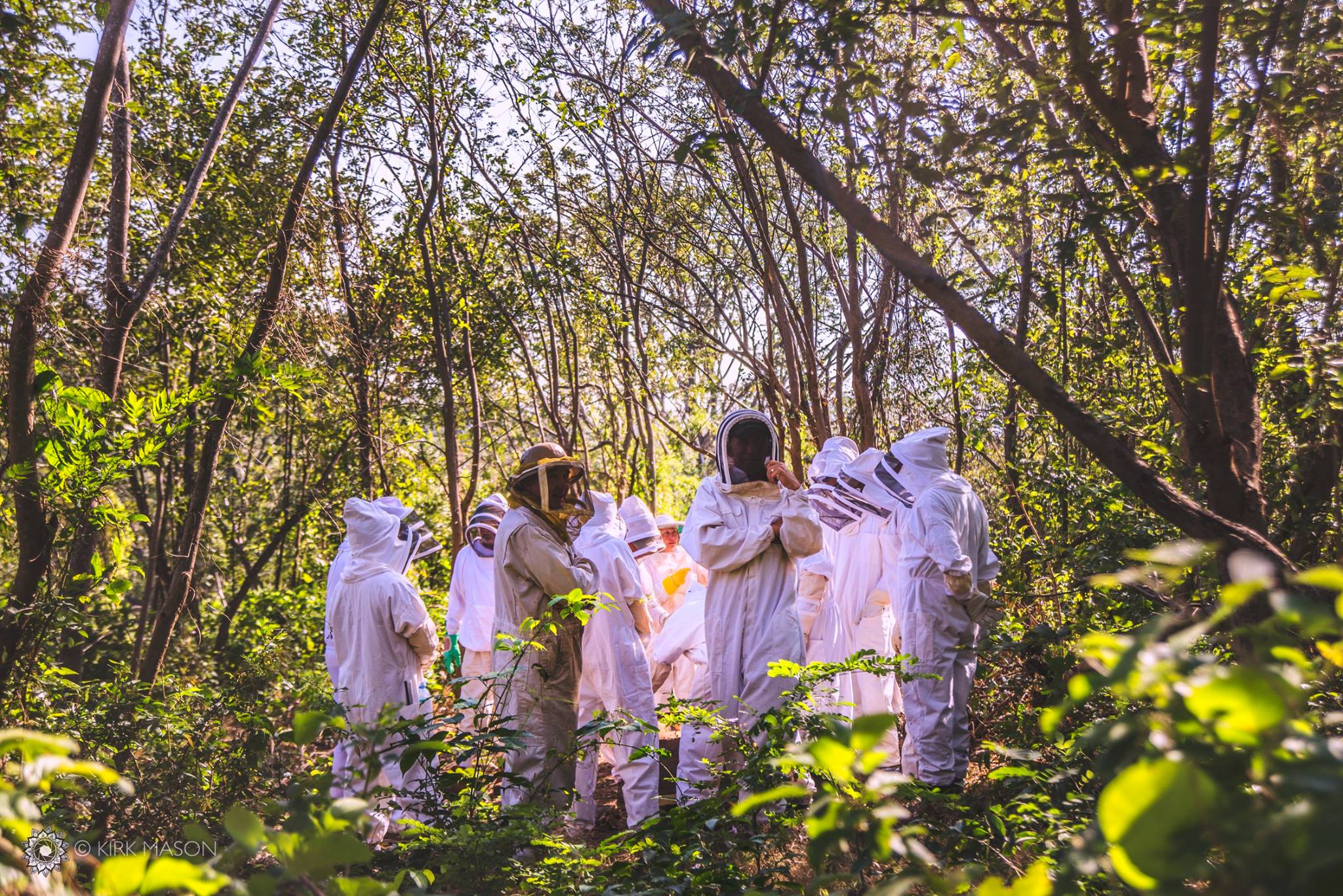 A group of American/Canadian beekeepers exploring an Africanized Honeybee colony on a coffee plantation near Chocoyero Nature Reserve in Masaya, Nicaragua. I was a photographer for Nicabeja Proyecto (Nicaragua Bee Project), a farmer-to-farmer style program in which American and Canadian beekeepers spend two weeks traveling to a dozen farms/co-ops/beekeeping operations to learn about keeping Africanized Honeybees (killer bees), while also imparting best management practices from research institutions in the US. Young Nicaraguan beekeepers participate in the trip as well, obtaining mentorship from experienced beekeepers and making plenty of new friends in the process :)
