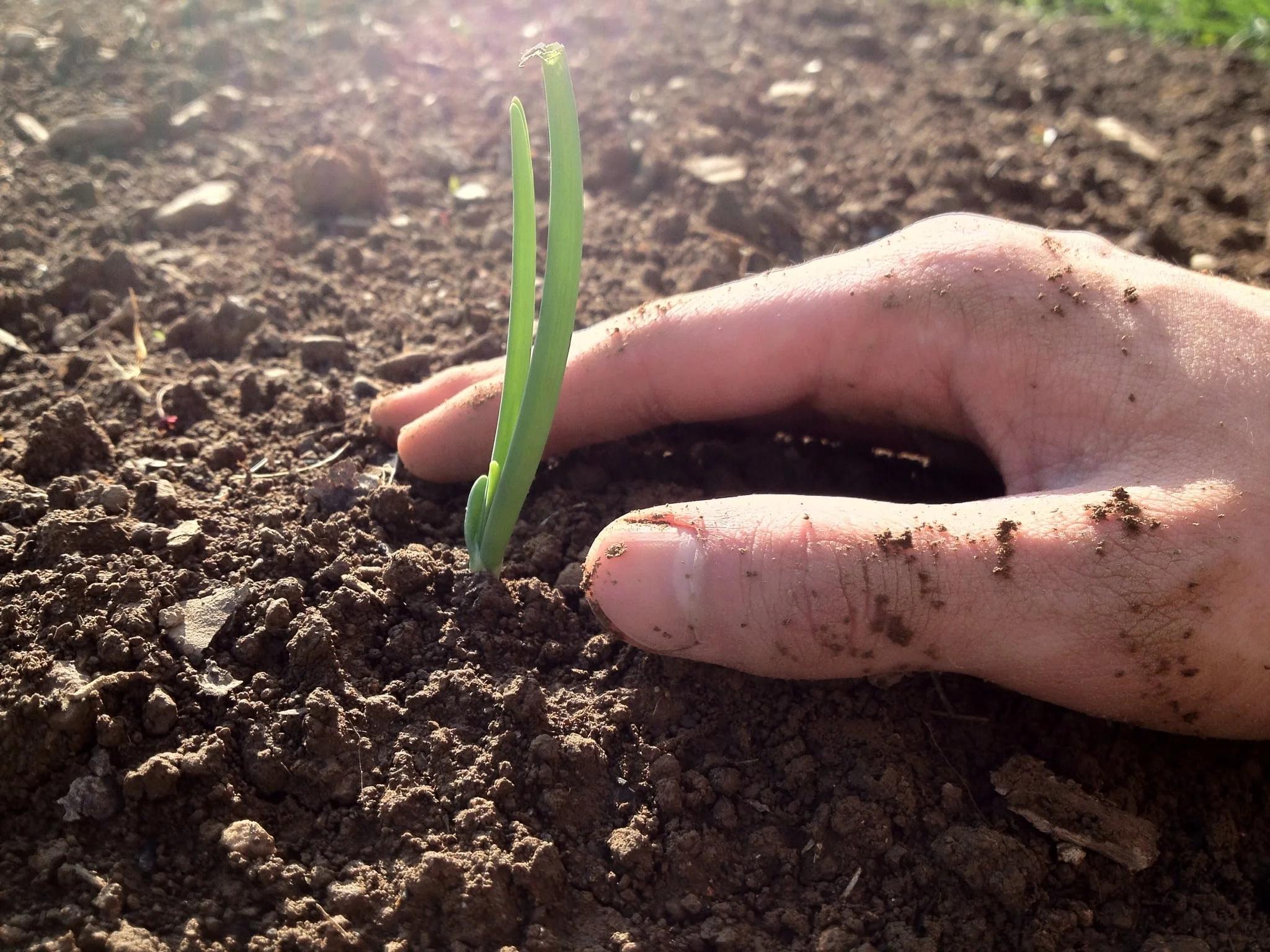 You Are Stronger Than You Know