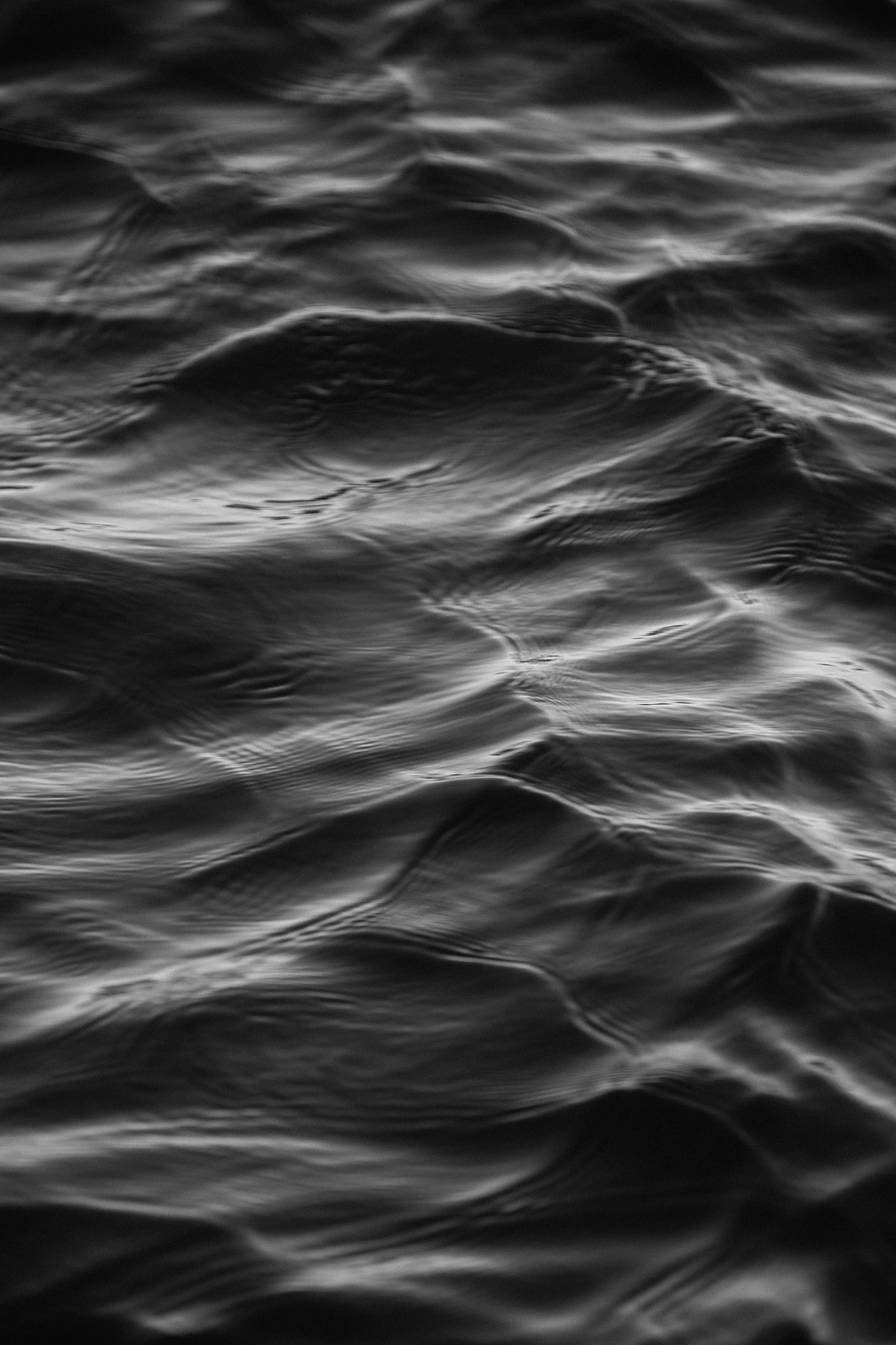 20220309-4Z9A0844-2.jpg