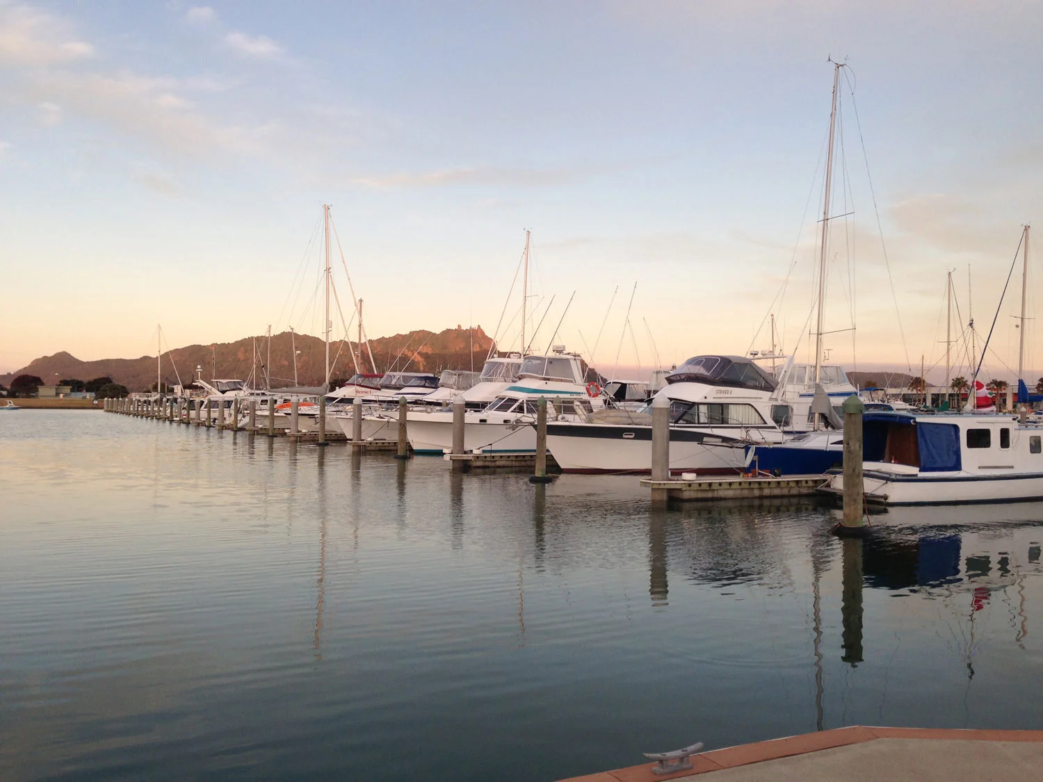 Marsden Cove Marina