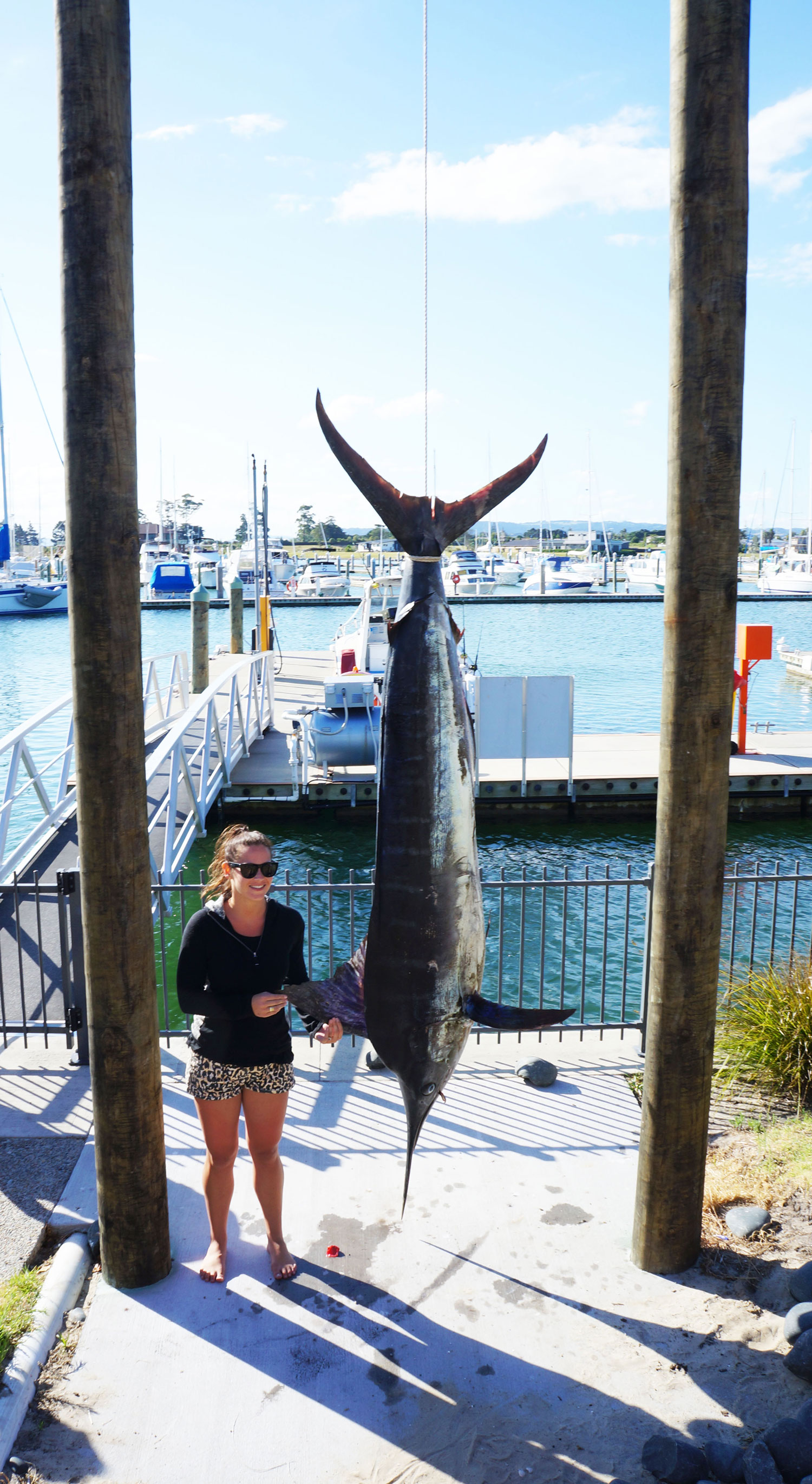 Marsden Cove Gamefishing