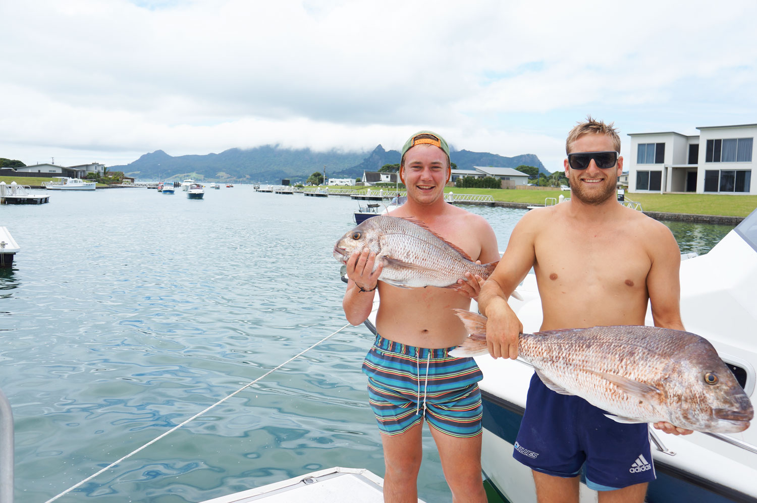 fishing from Marsden Cove