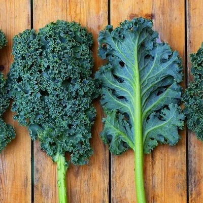 Kale - People have often used this leafy vegetable as a garnish but it's making a comeback into our diets. And for good reason! Kale is considered to be highly nutritious with powerful antioxidant properties and it’s high in vitamin K. Chop and eat raw or cooked. Kale is great for making salads as it holds dressings well and for a long time. The extra time only makes the leaves more tender.
