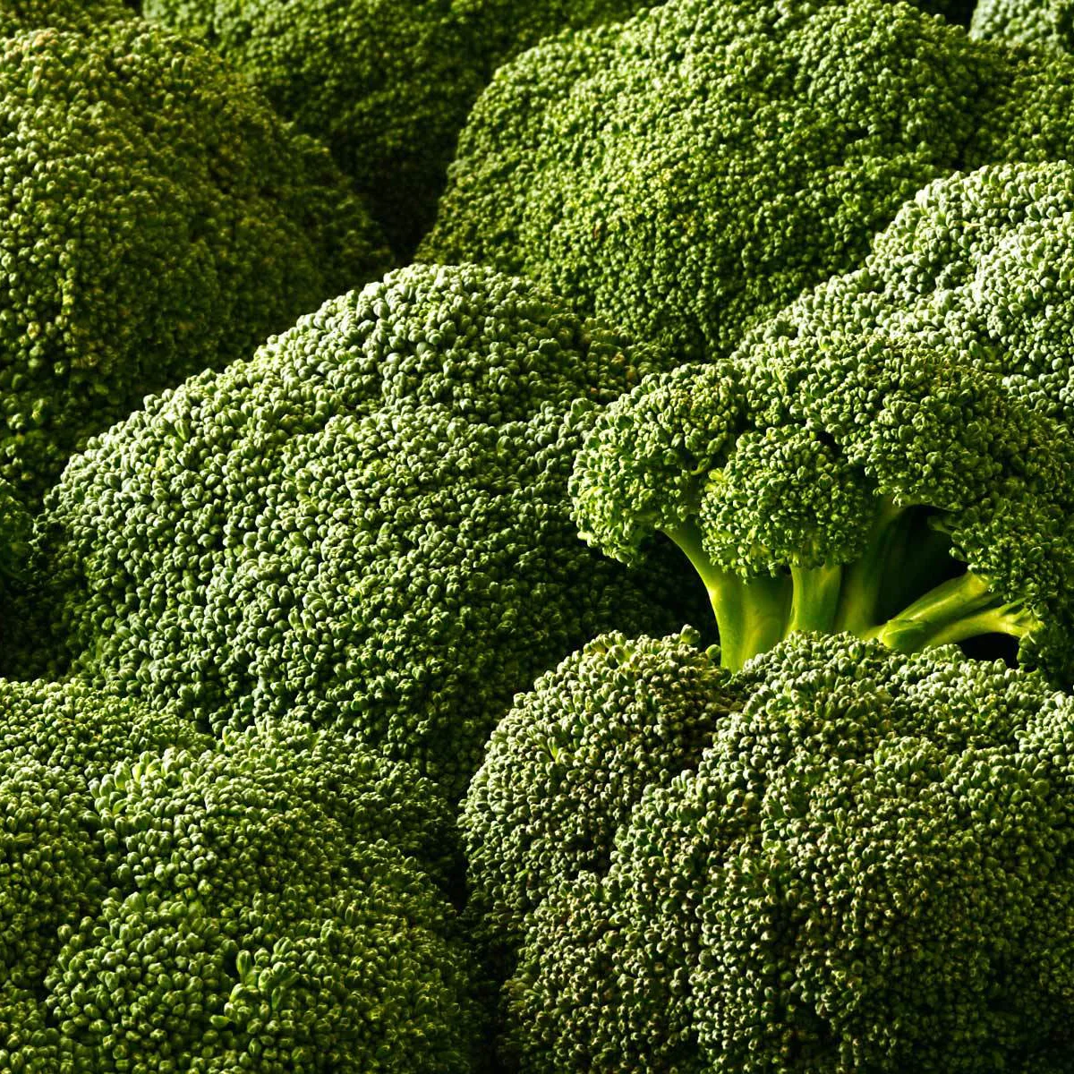 Broccoli – Broccoli can be eaten raw and is great with dips like hummus. When sauteed or steamed, broccoli should not be overcooked. Cook just until tender or al dente. Broccoli's flavor is best when it still has a bite to it. Don't discard the stems! Broccoli stems are just as flavorful as the florets, they just need to be peeled and cooked a bit longer than the florets, but they are just as delicious!