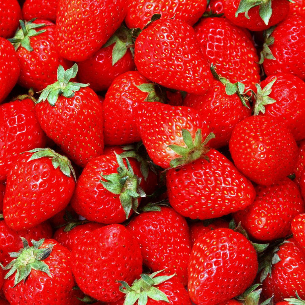 Strawberries - Probably our most popular item on the farm. They are hydroponically grown. Strawberries grow best in the spring time between March and June. If the weather is just right we may even have strawberries as early as January or as late as July. Extreme weather conditions often have negative effect on this delicate fruit and can limits the amount berries that the plant produces. As long as the weather is nice, berries are plentiful. No need to tell you how to enjoy these berries. Eat them however you'd like!