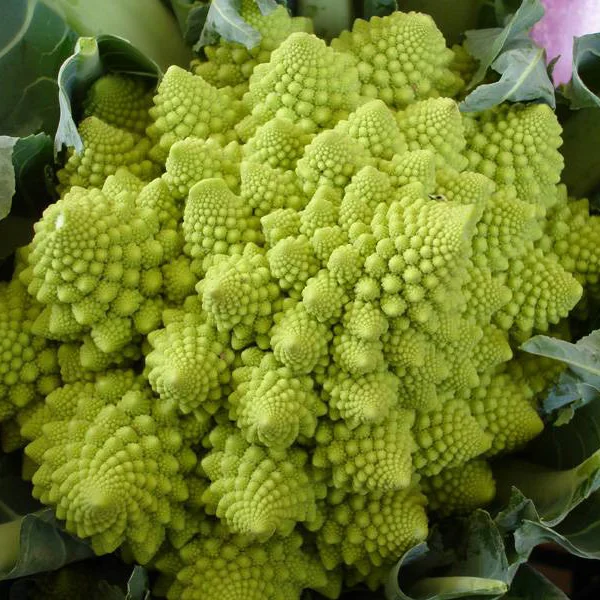 Romanesco - A mixture of cauliflower and broccoli, this crazy cool vegetable can elevate any dinner party and impress your guests. The best thing is, it’s so easy to prepare! It has a sweet flavor, similar to cauliflower and can be cooked just the same way. Enjoy it raw, cooked, or steamed.