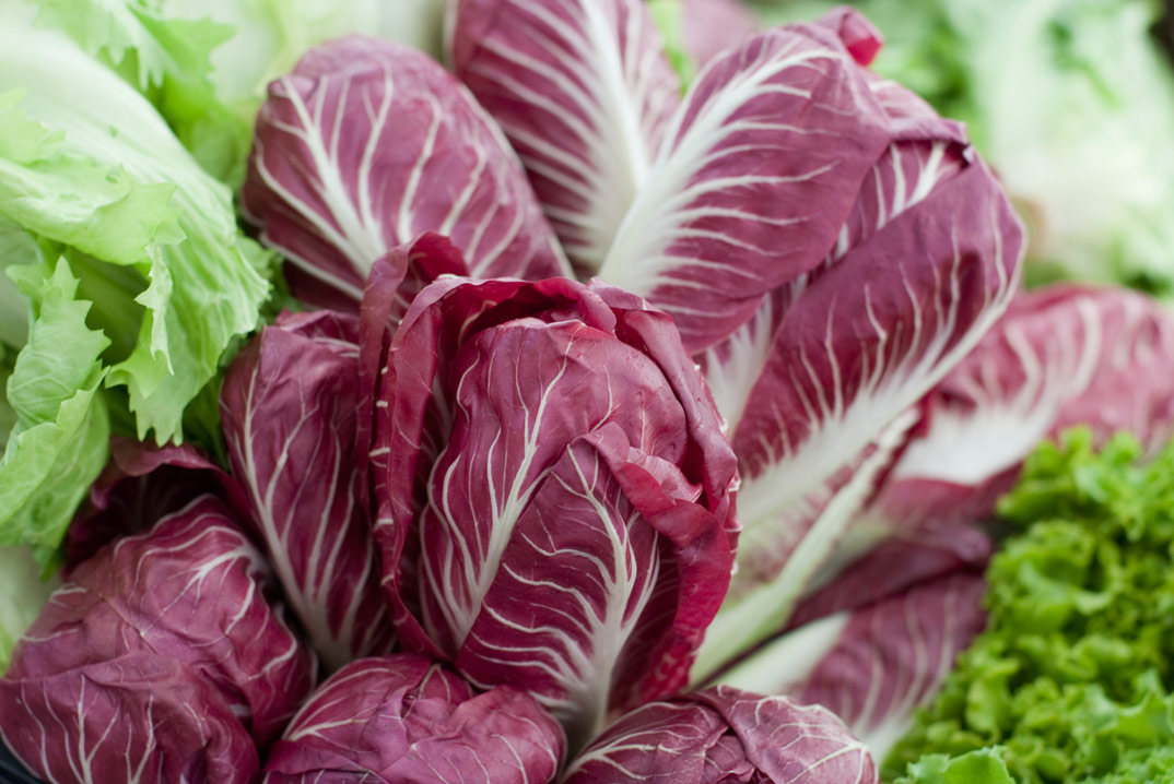 Radicchio - an exotic Italian ingredient related to chicory. This distinctive plant grows in the winter time. It’s rich maroon color is eye catching and has a peppery flavor that adds a textural bite to salads. It can also be grilled or roasted to take some of the bitterness out of the taste. Toss it with olive oil, garlic, and salt before roasting and it makes a colorful and delicious side dish.