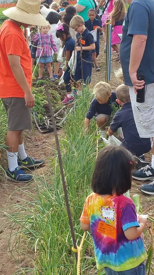 U-Pick Veggie Patch
