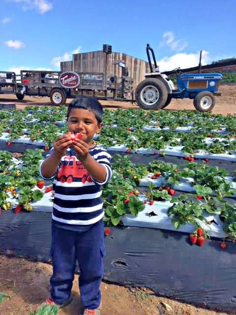 Little Boy with berry.jpg