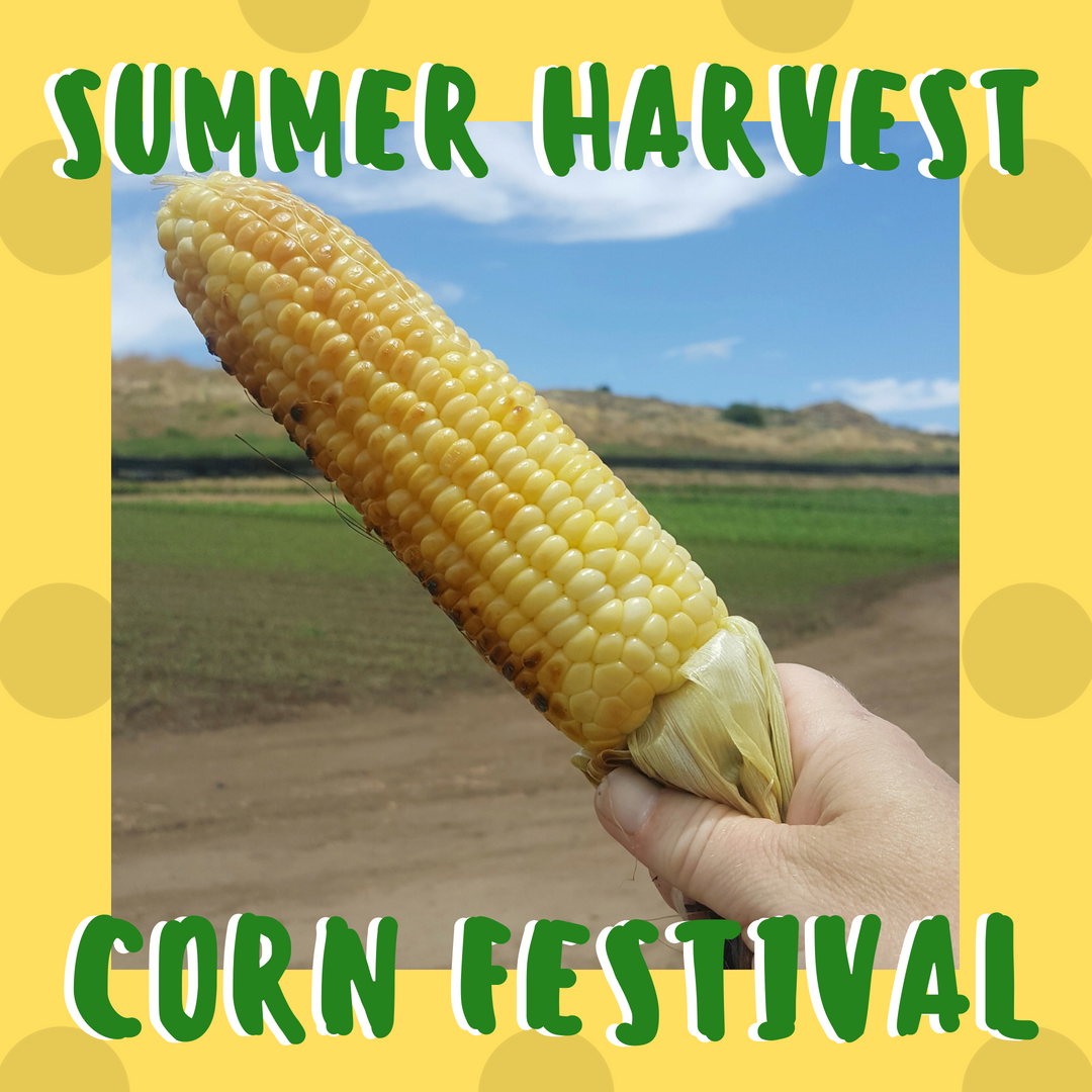 CORN FESTIVAL (1).png