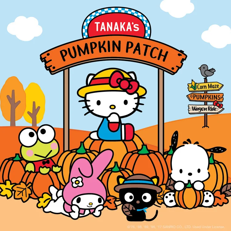 PumpkinPatch.jpg