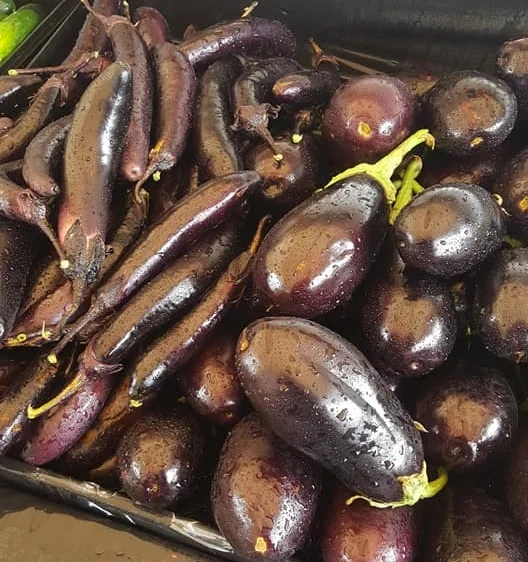 Eggplants.jpg