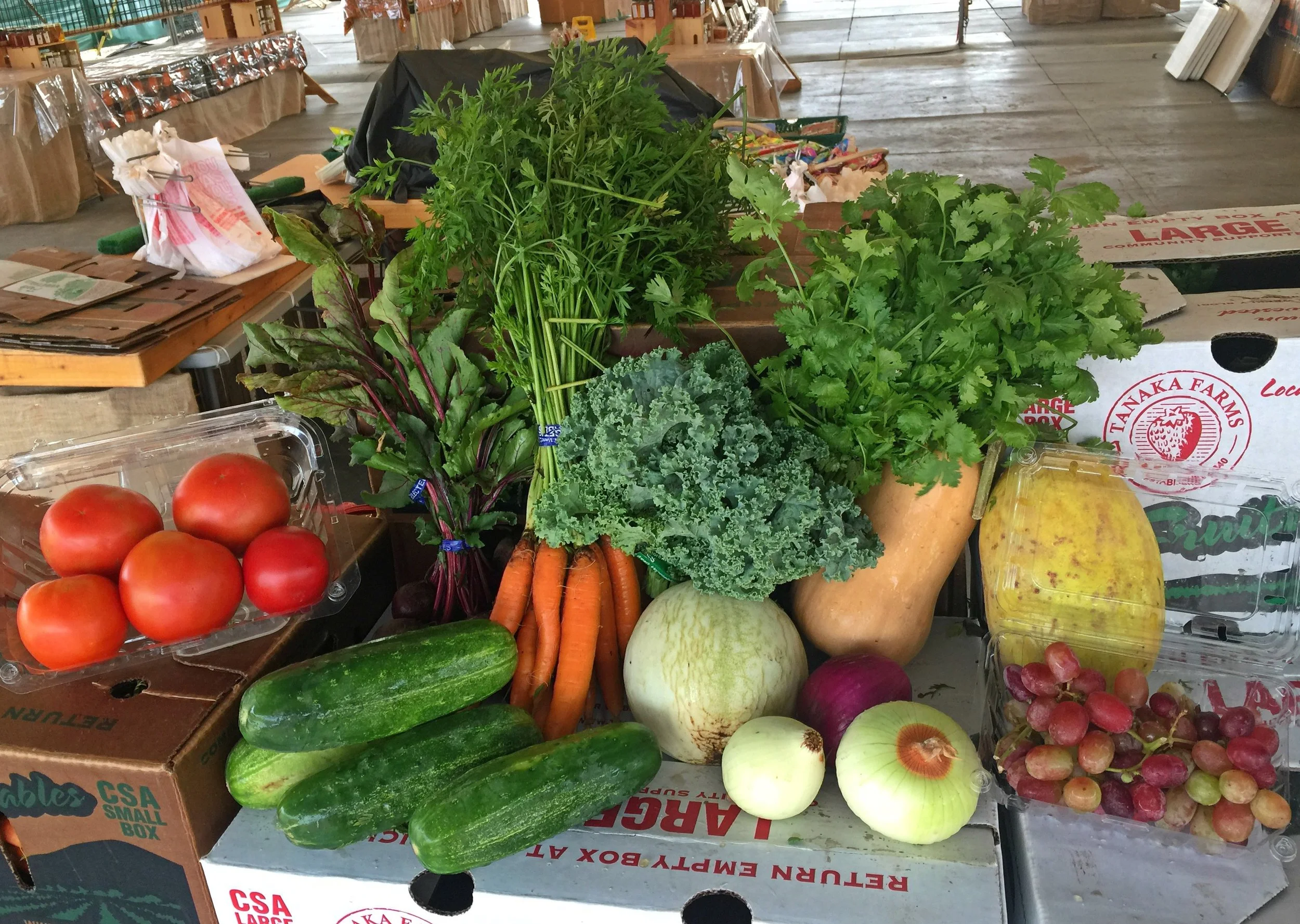 CSA Box September 2017.jpg