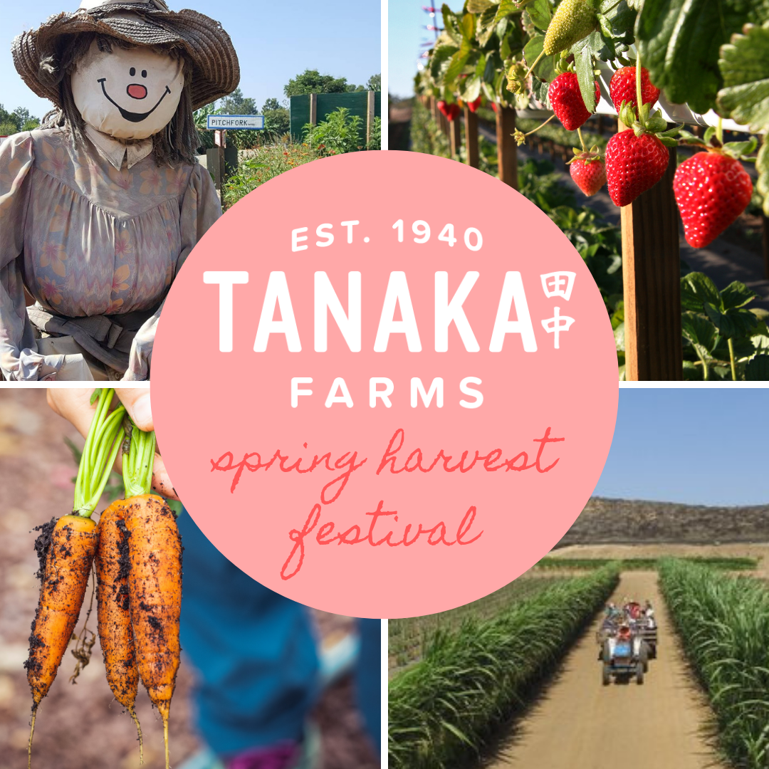 Spring Harvest Festival.png