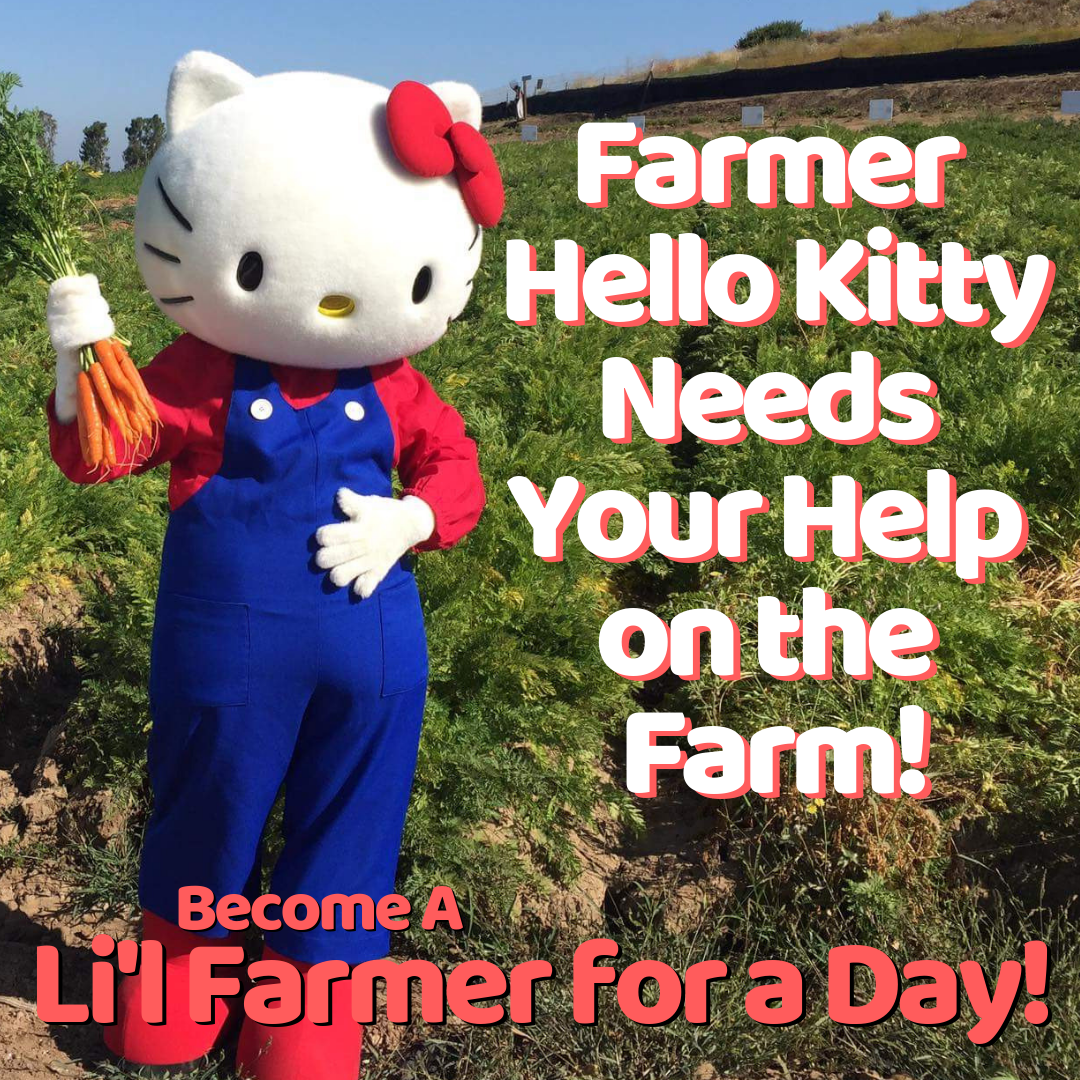 Farmer Hello Kitty Needs Your Help on the Farm!.png
