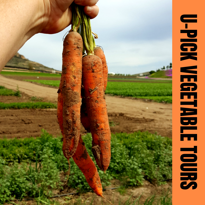 U-Pick Vegetable Tours.png