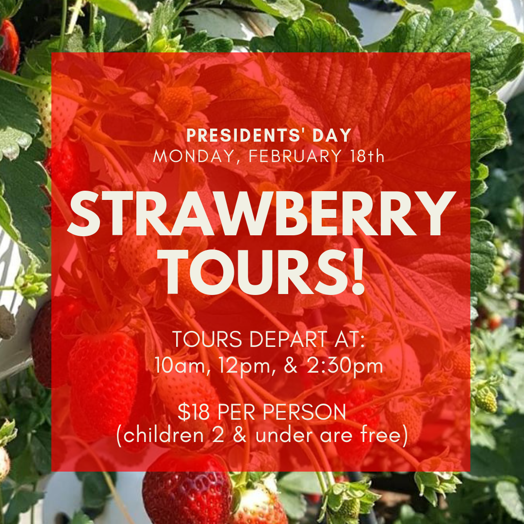 STRAWBERRY TOURS!.png